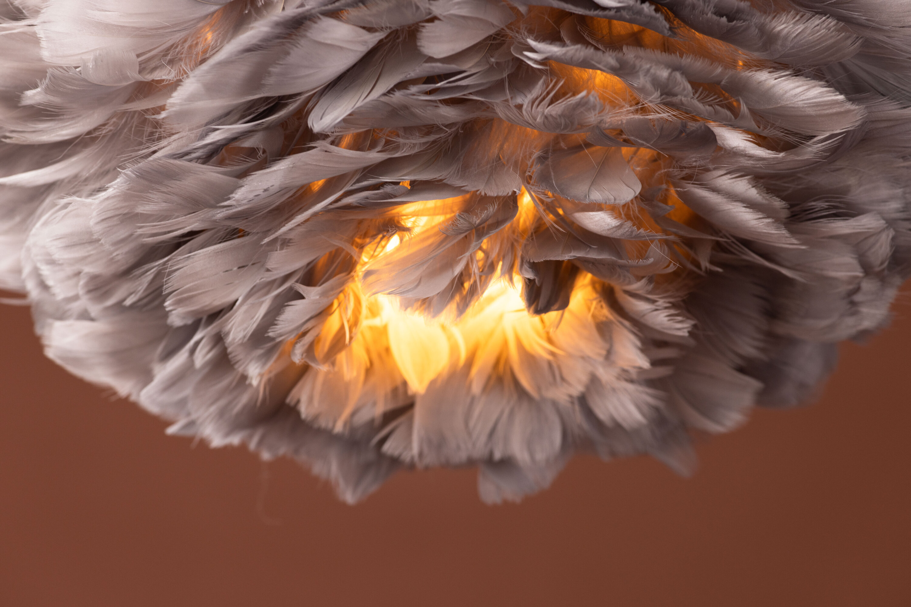 deLOHN Nicola Csillár / függőlámpa