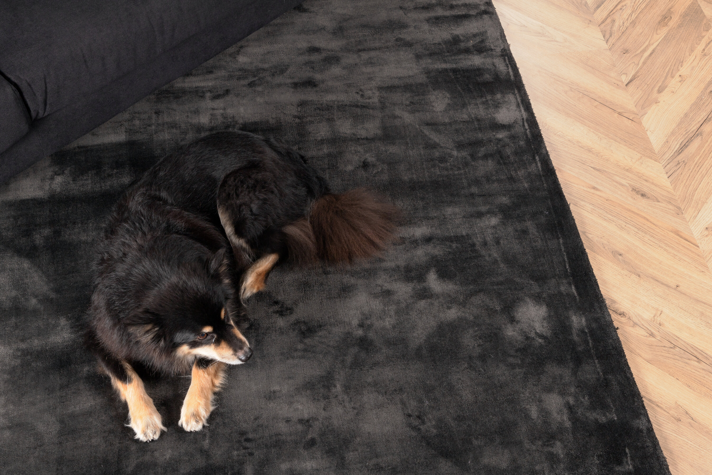 deLOHN Indra Nappali szőnyegek