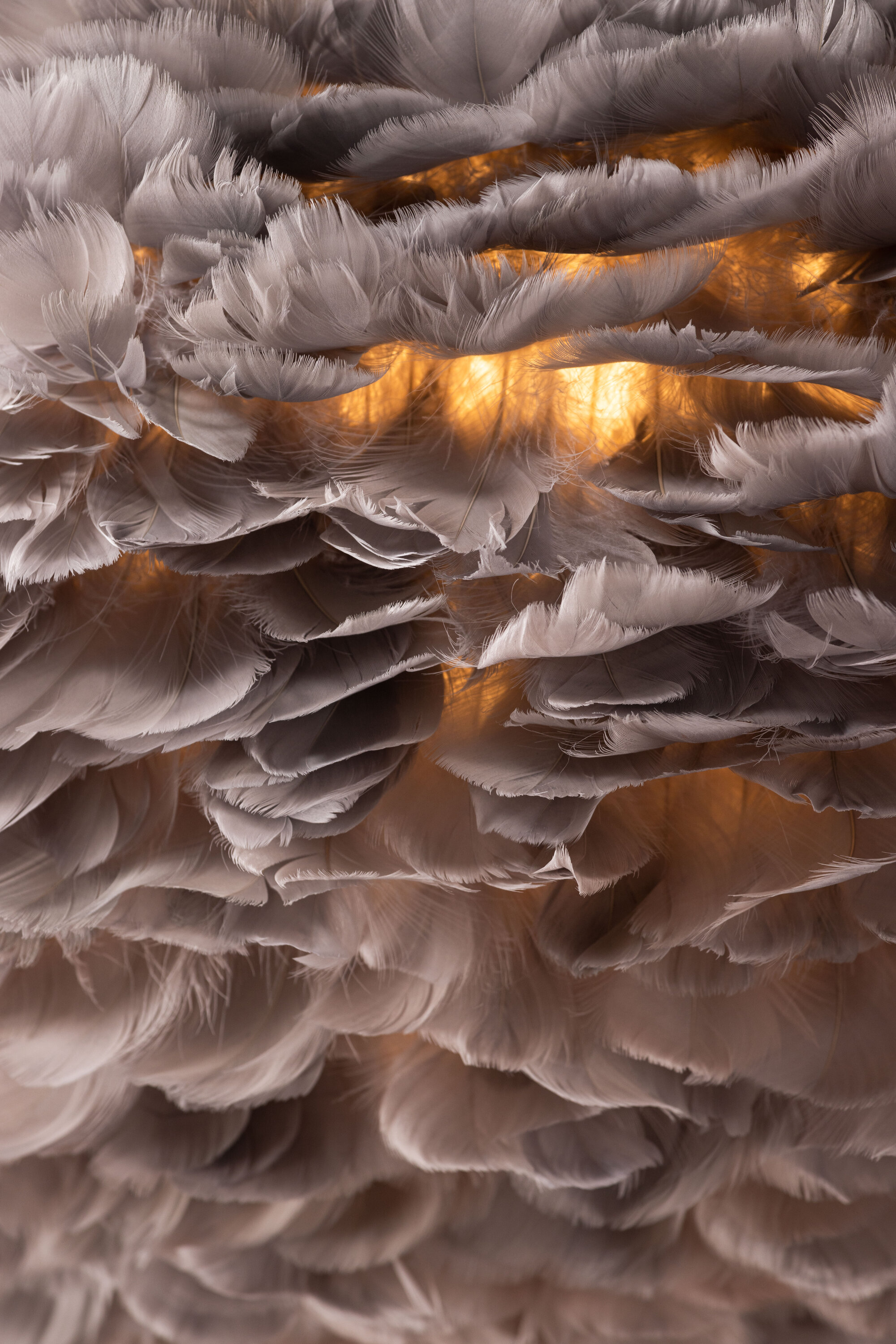 deLOHN Nicola Csillár / függőlámpa