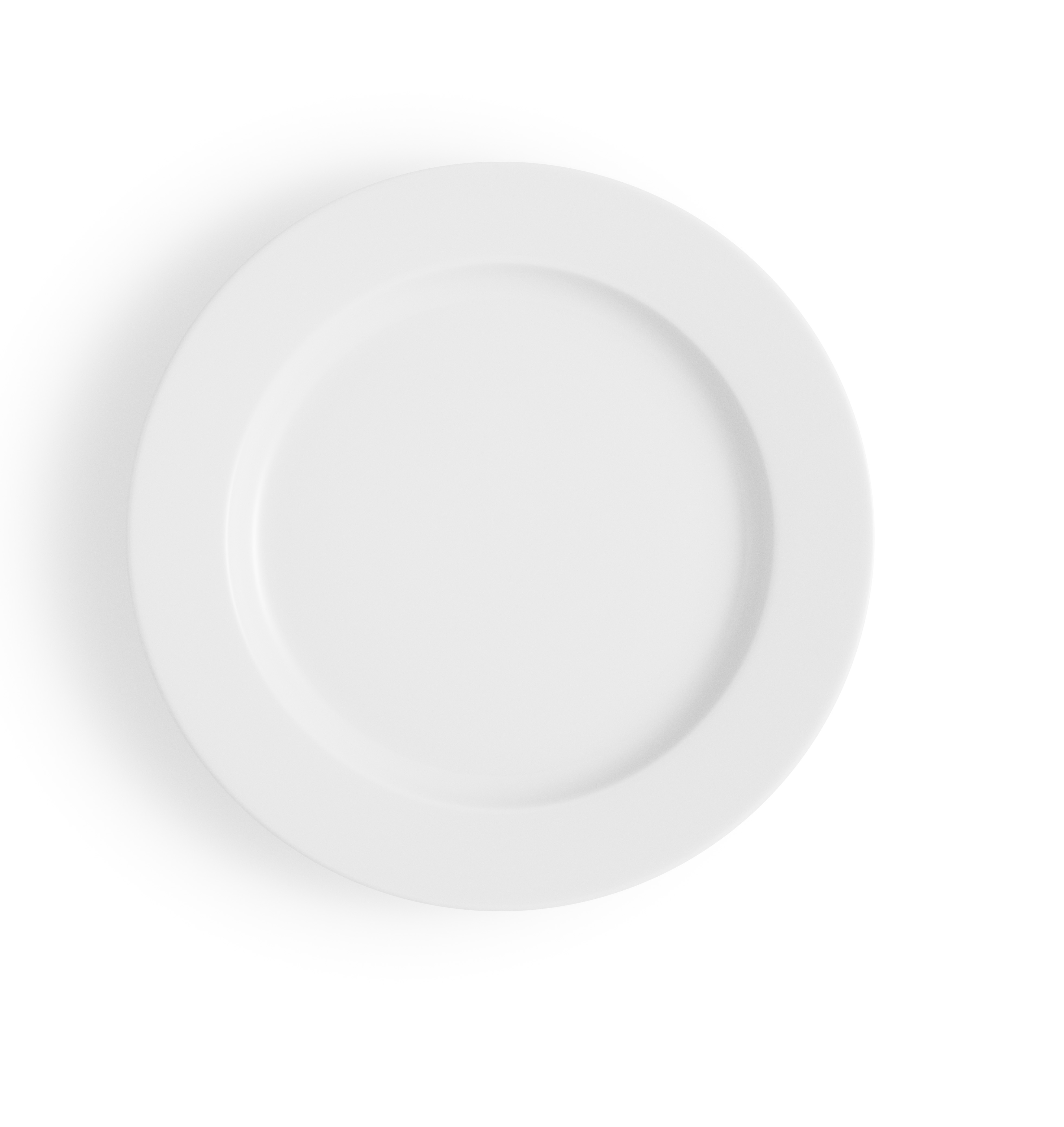 Legio dinner plate - 25 cm