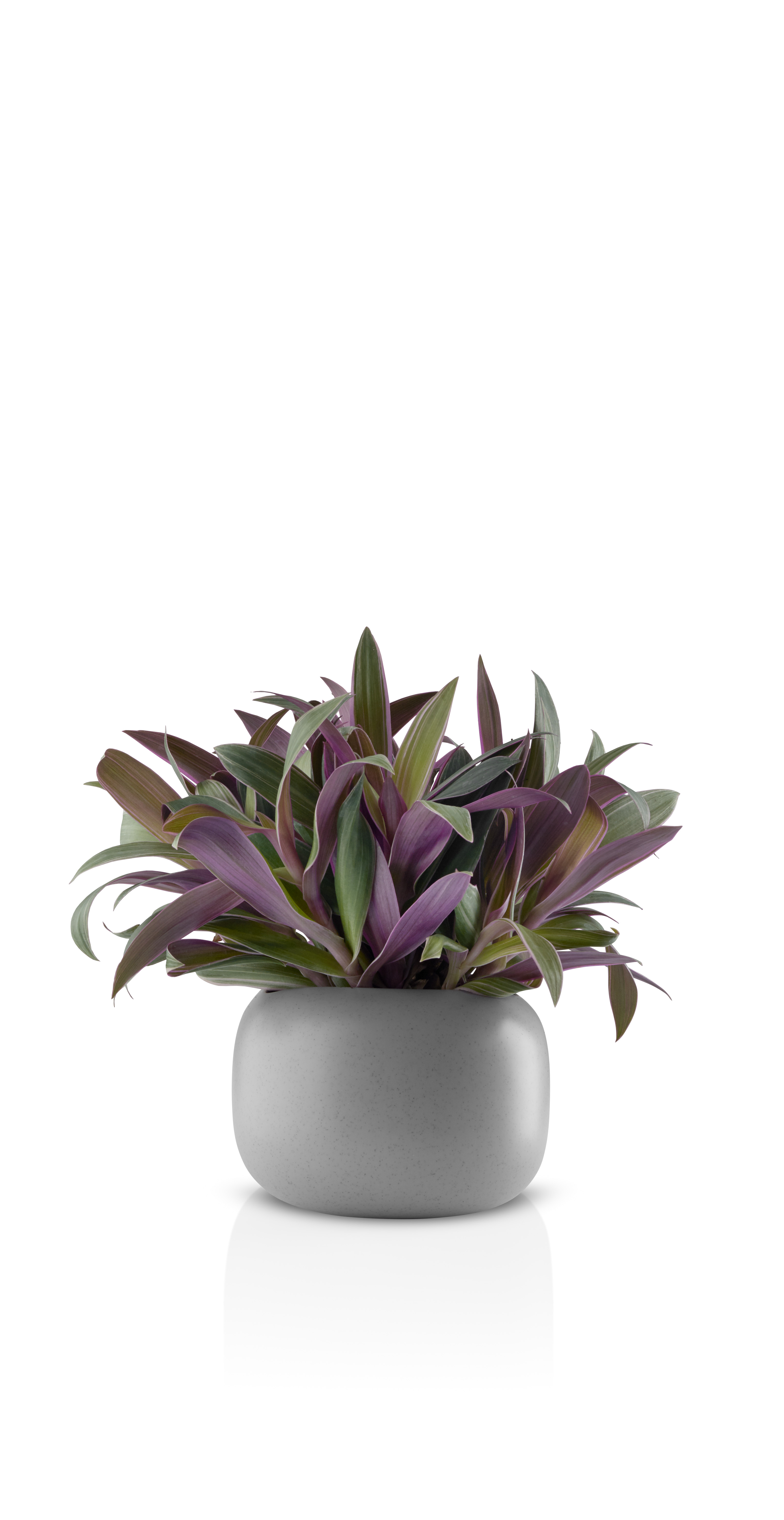 Stone flowerpot - Ø16 cm