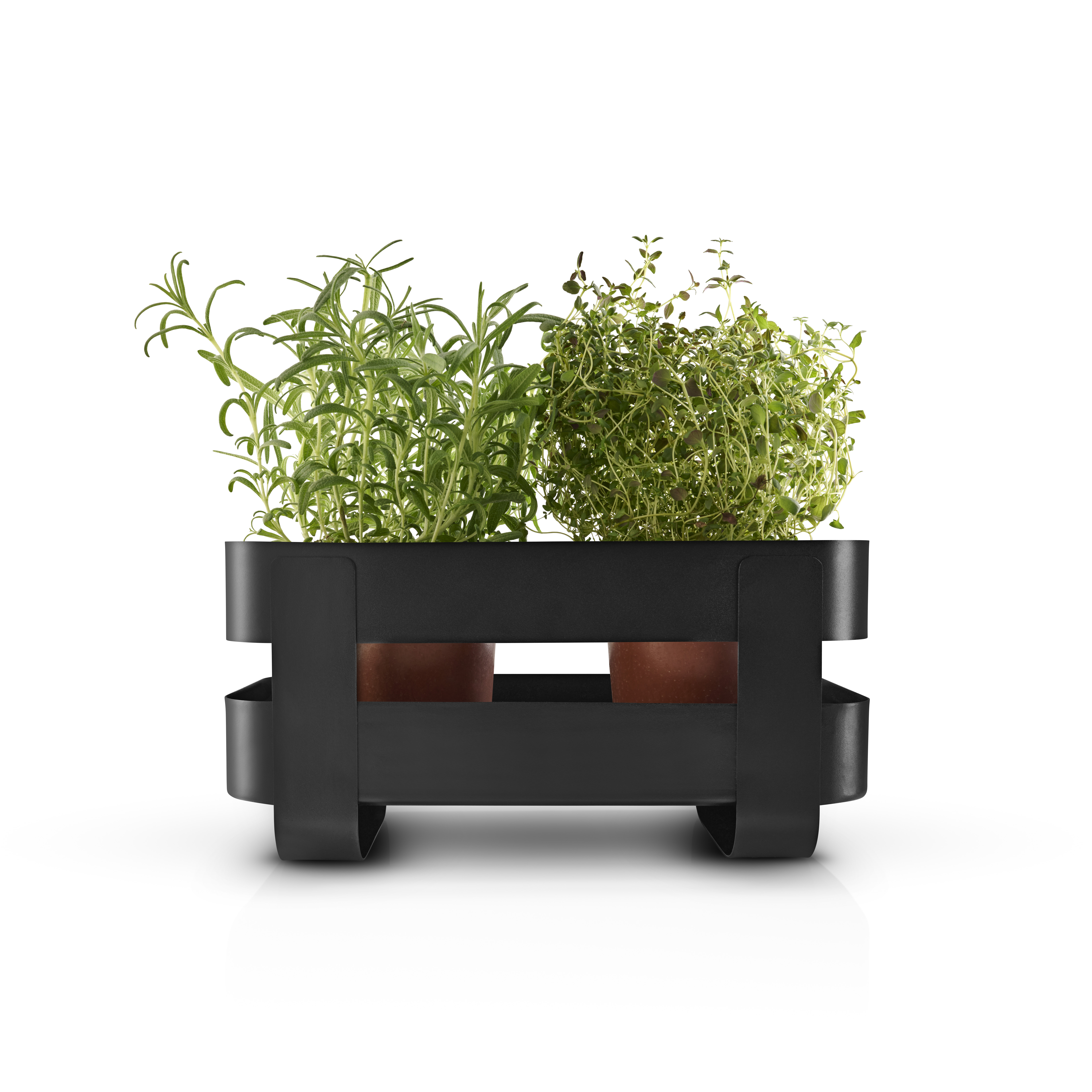 Självvattnande Herb organiser stål - Black