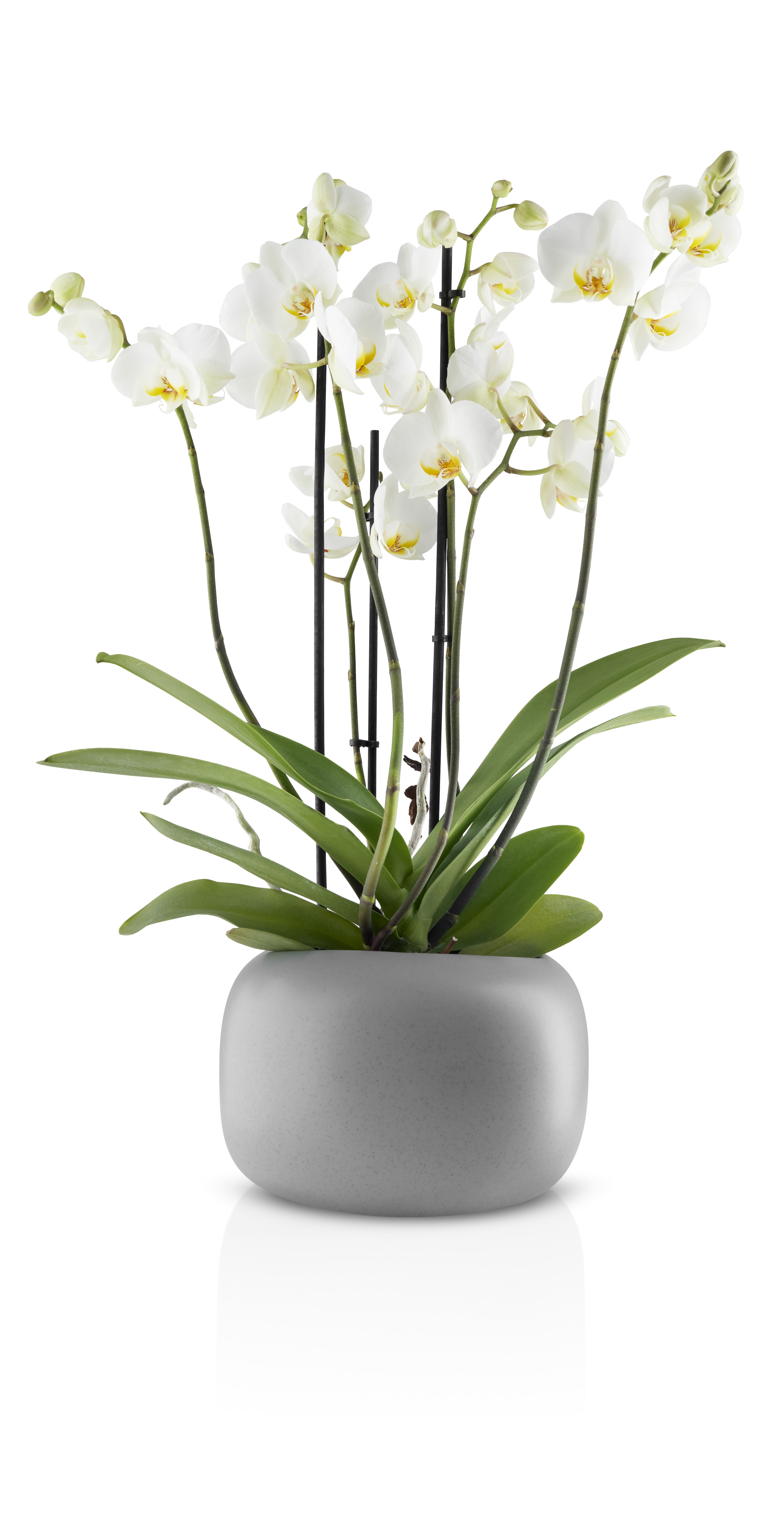 Stone Blumentopf - Ø 19 cm - Keramik