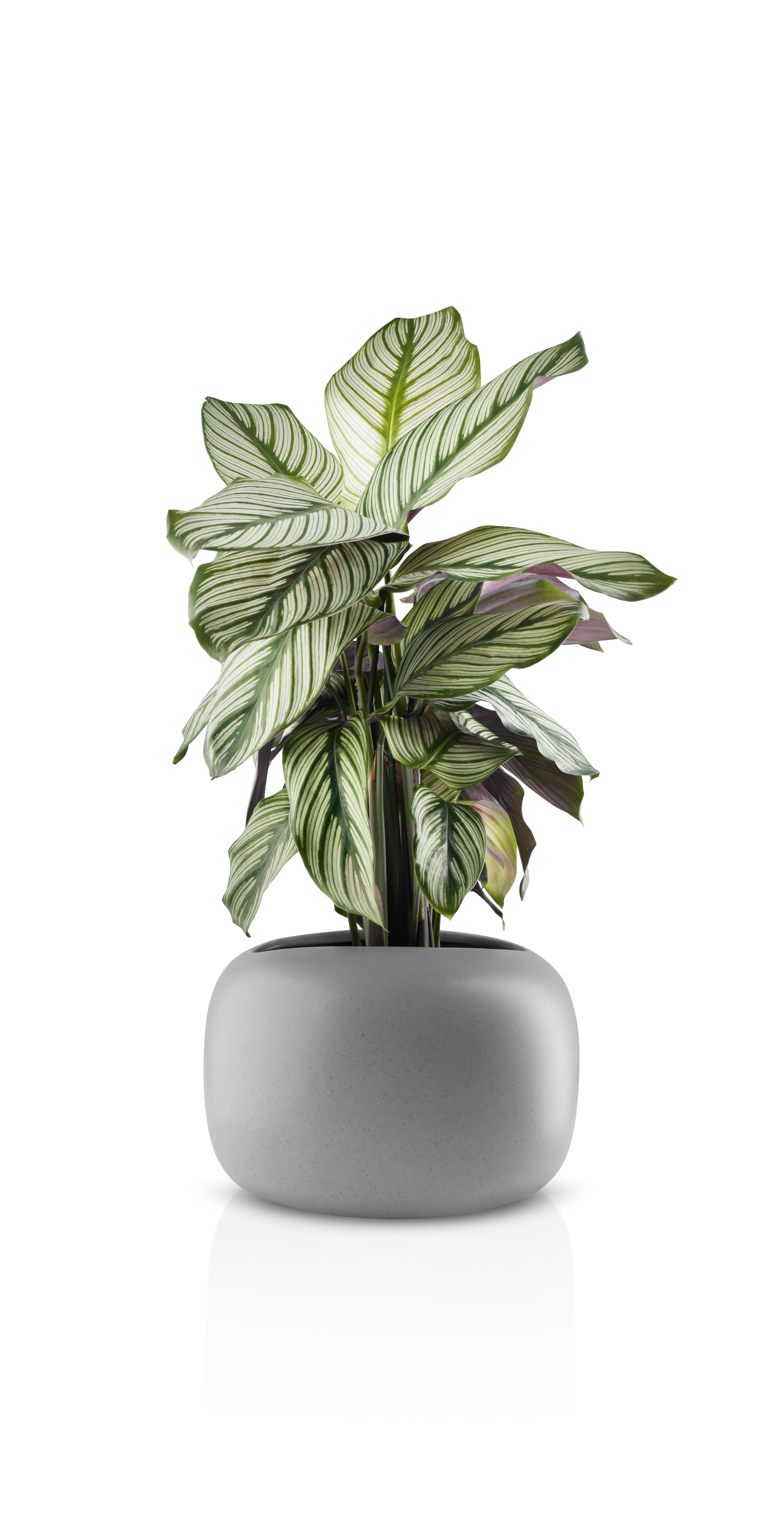 Stone Blumentopf - Ø 19 cm - Keramik