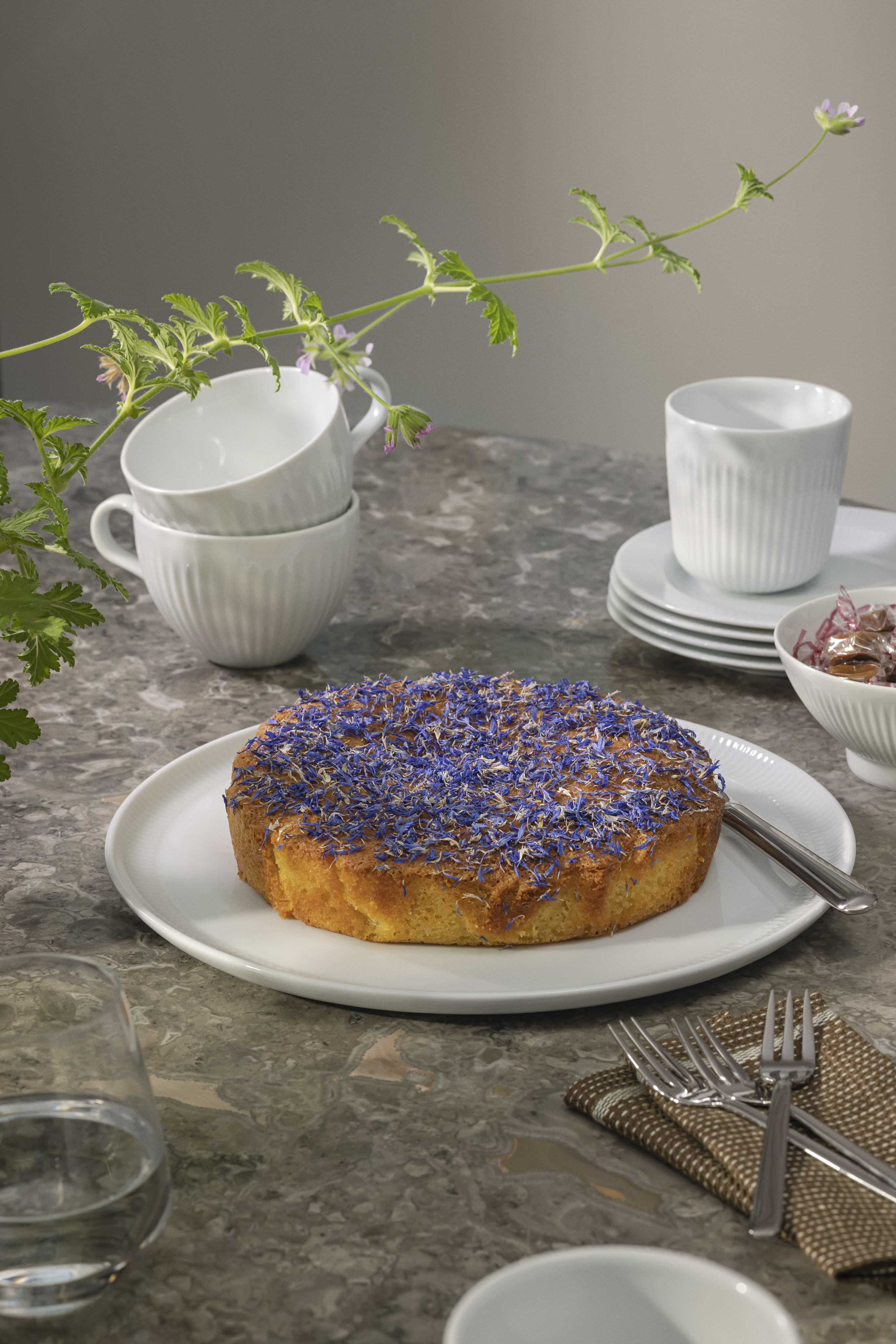 Legio Nova Pizza Plate - 31.5 cm