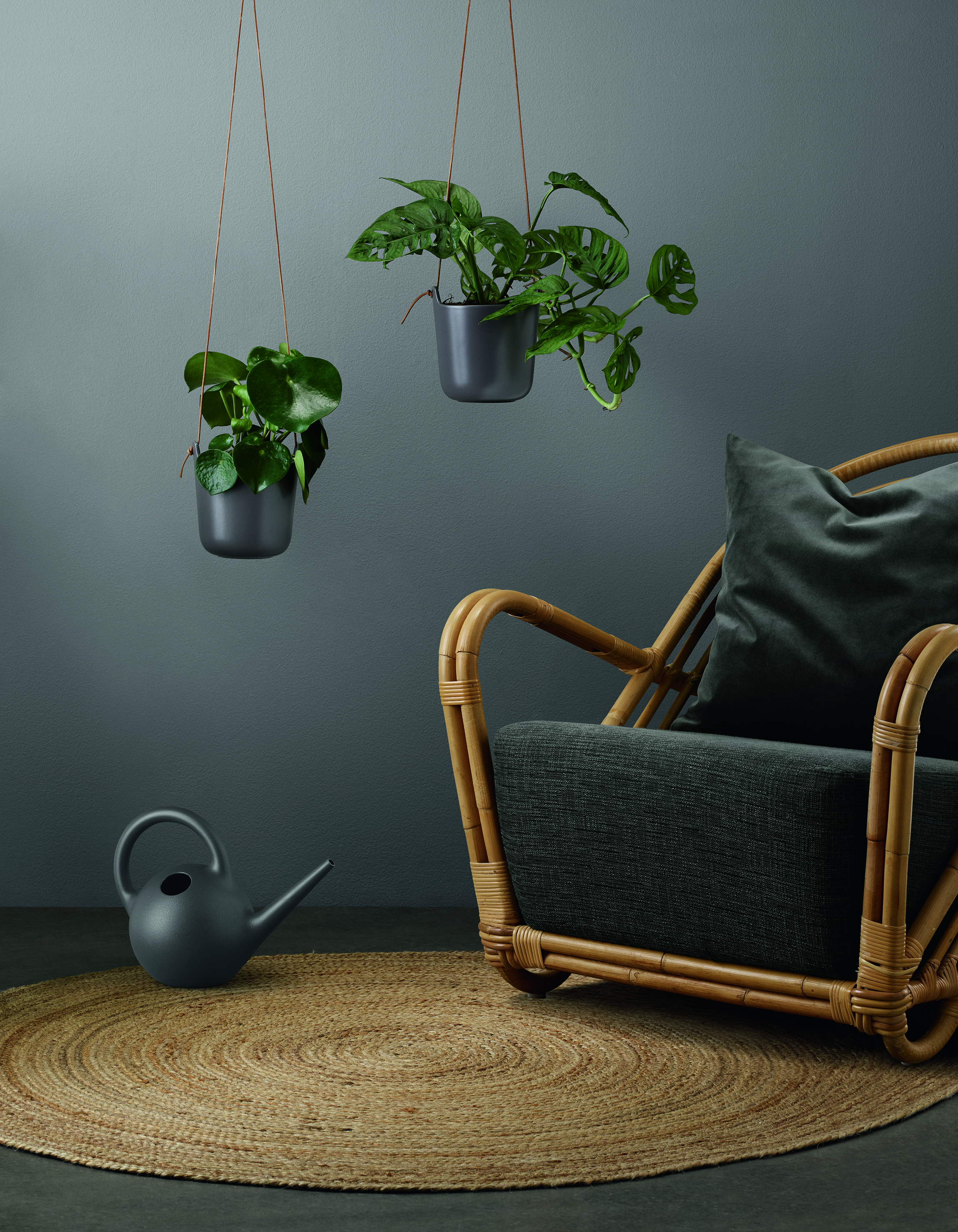 Arrosoir - Globe - 2,5 litres