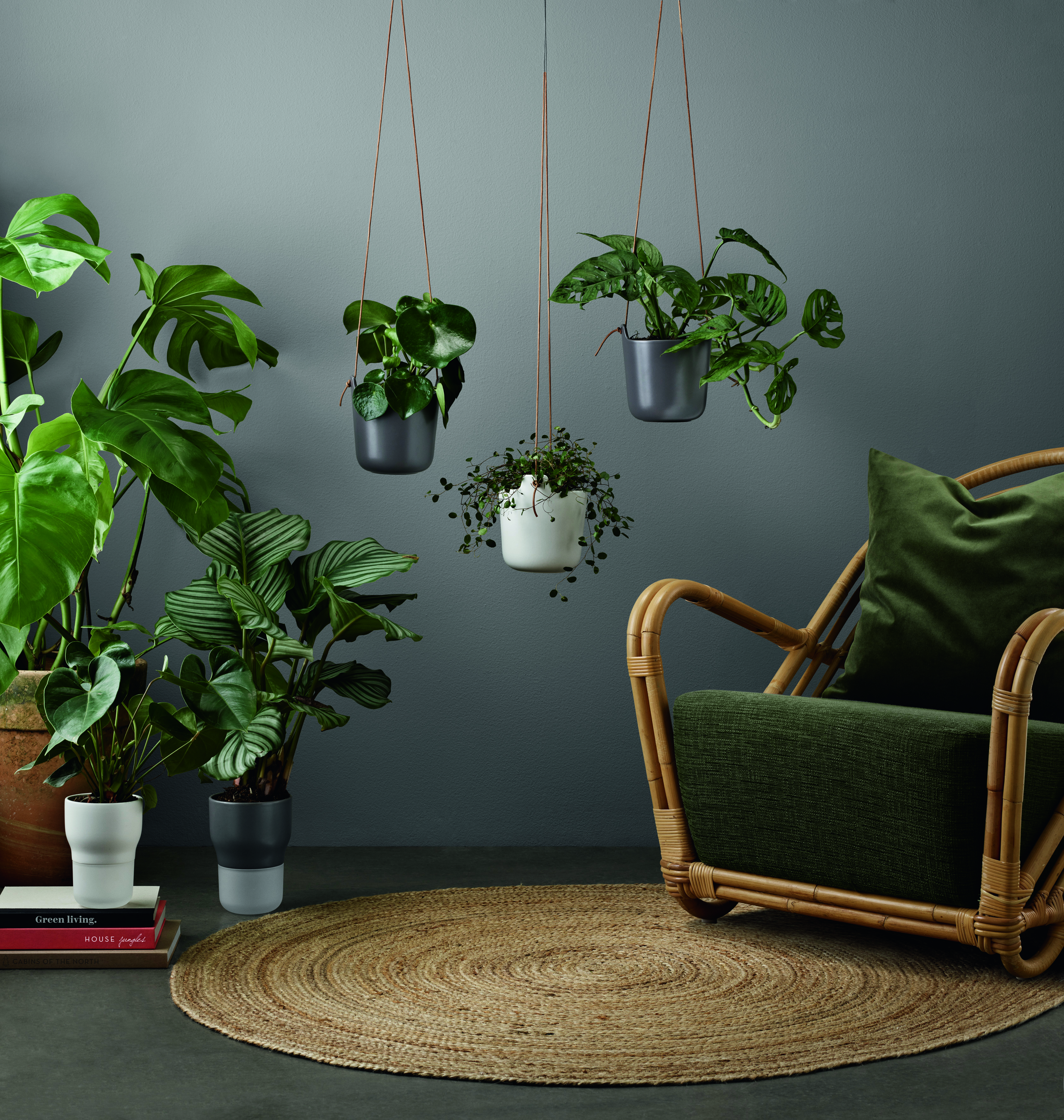 Pot de fleurs - A réserve d’eau - 15 cm