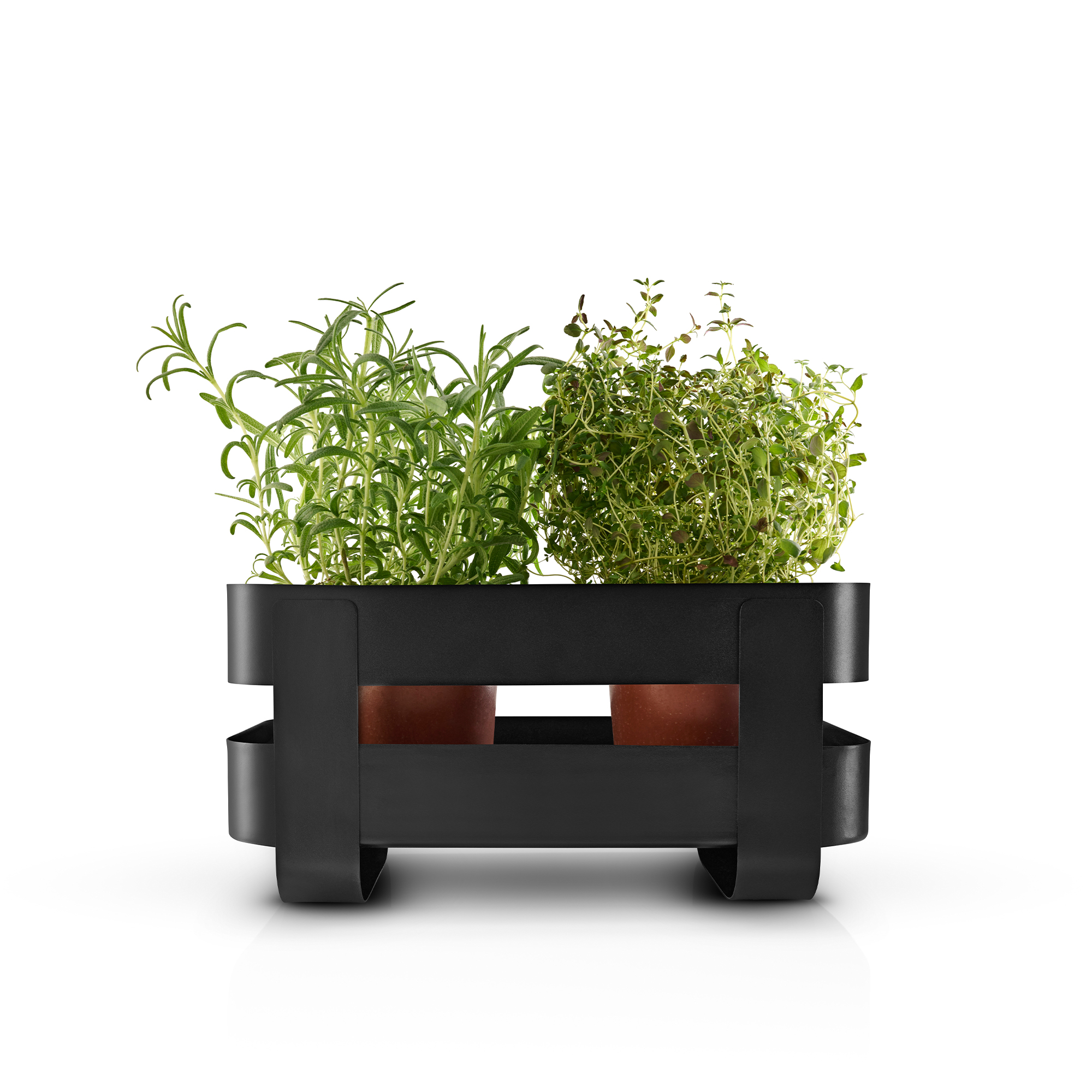 Selvvandende Herb organiser stål - Black