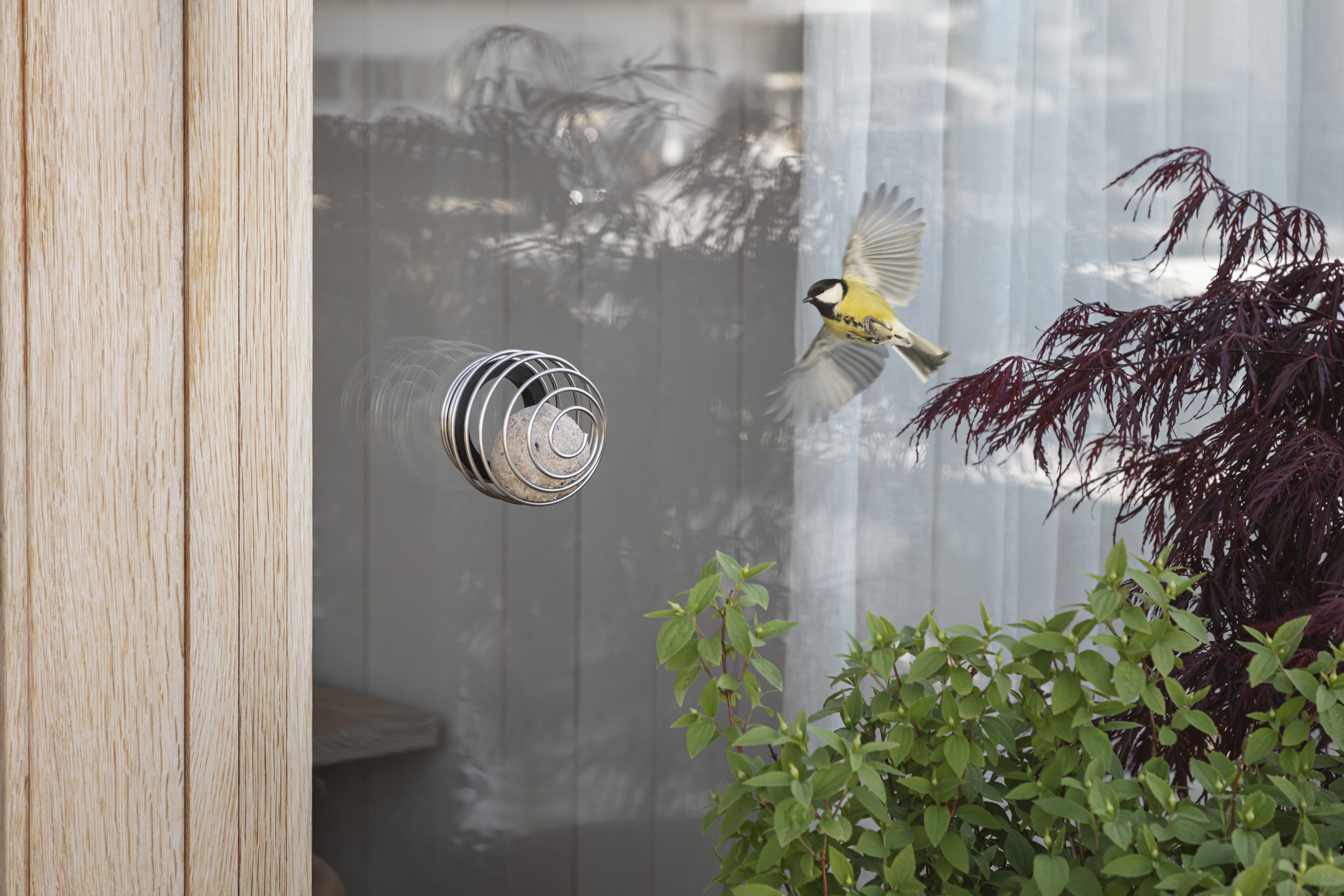 Talgbollshållare till fönstret