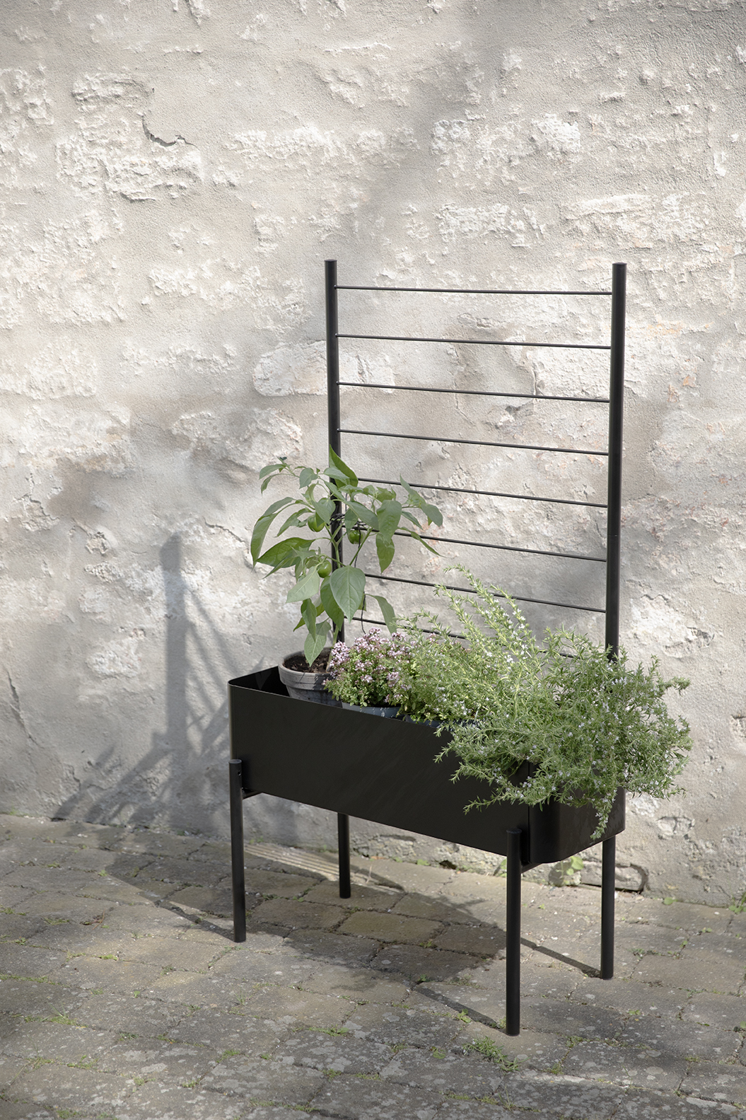 Simply Grow Spalier für Pflanzenbox