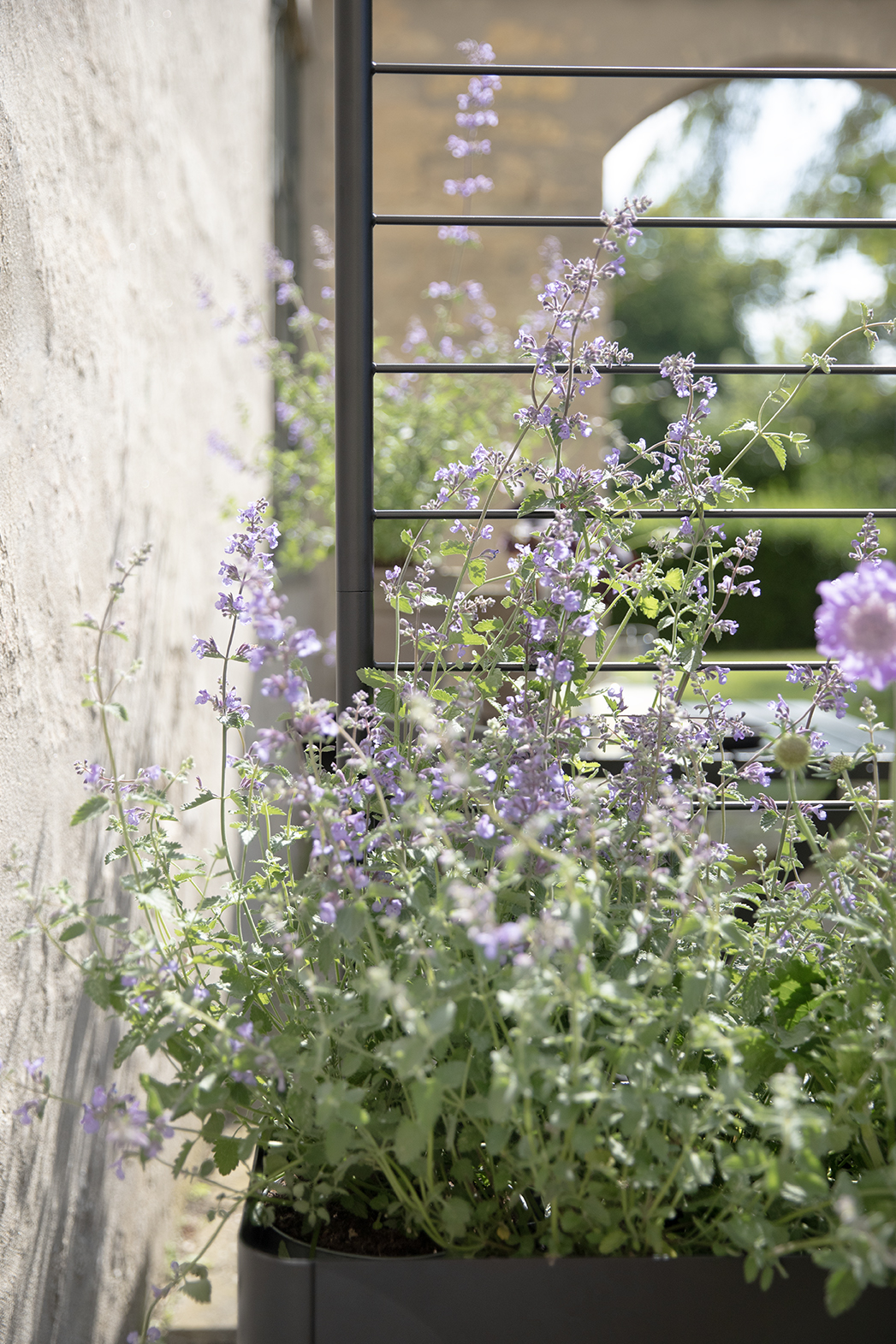 Simply Grow Spalier für Pflanzenbox