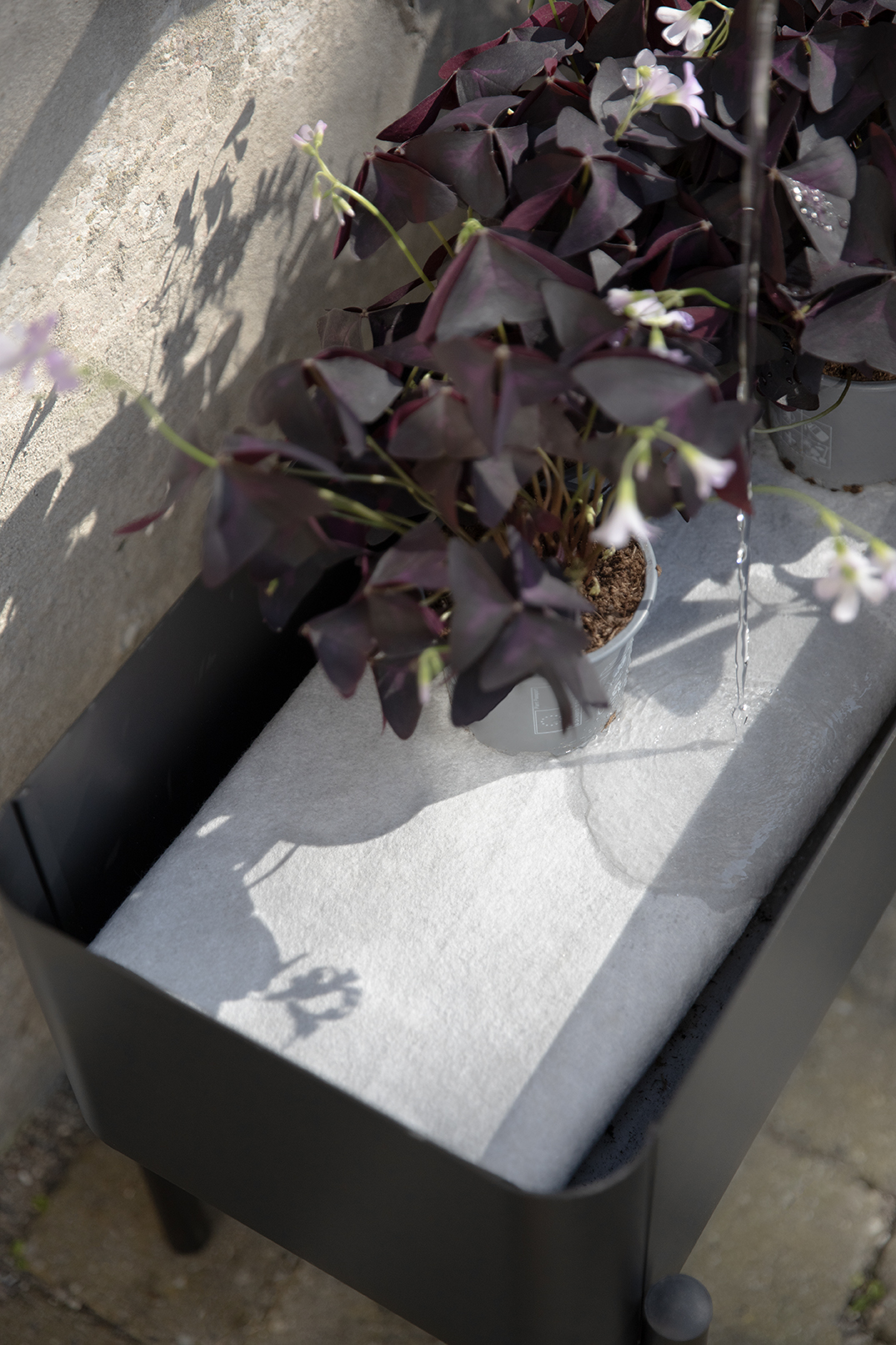 Simply Grow Plantekasse