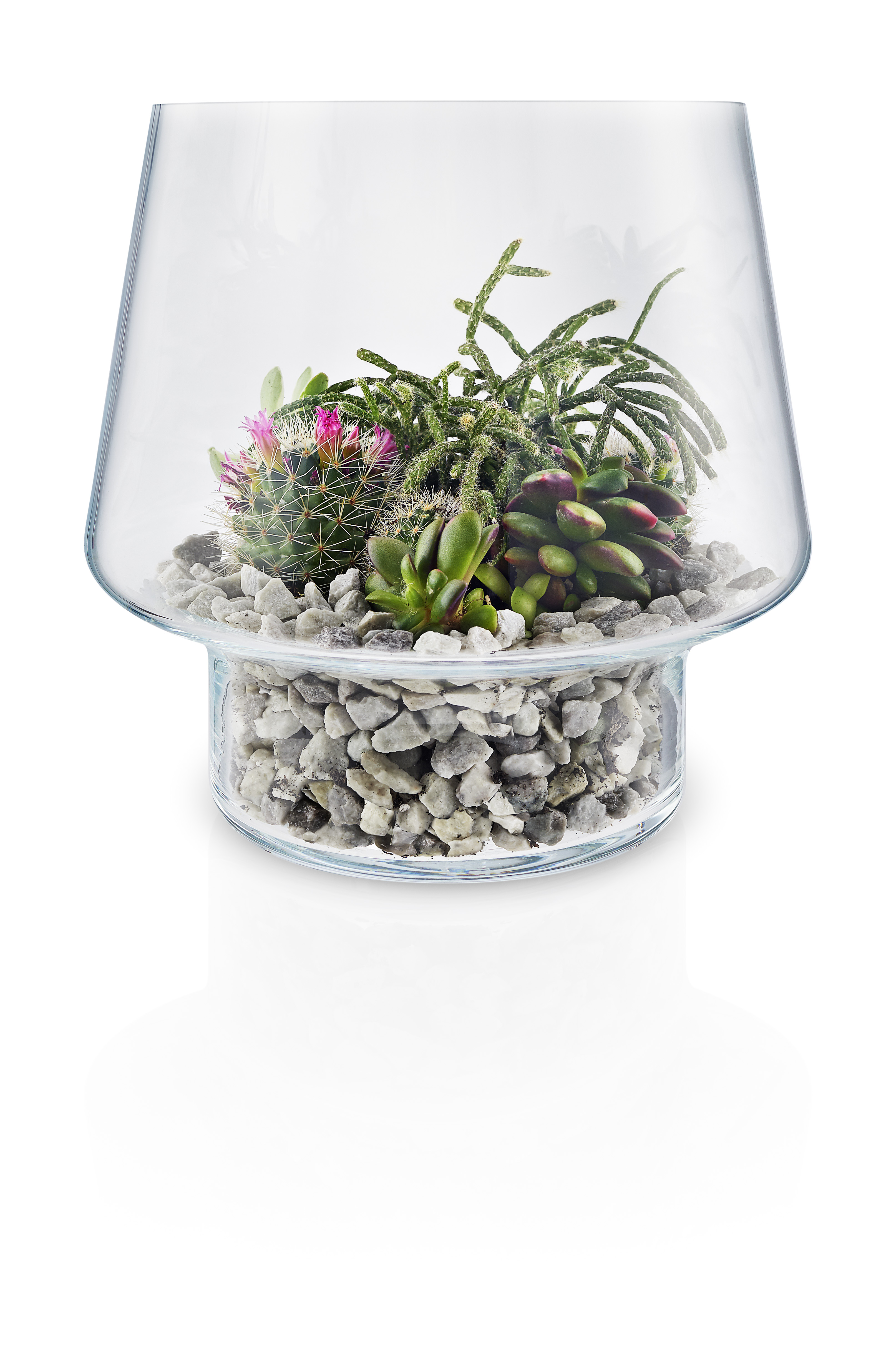 Succulent glass vase - Ø 21 cm