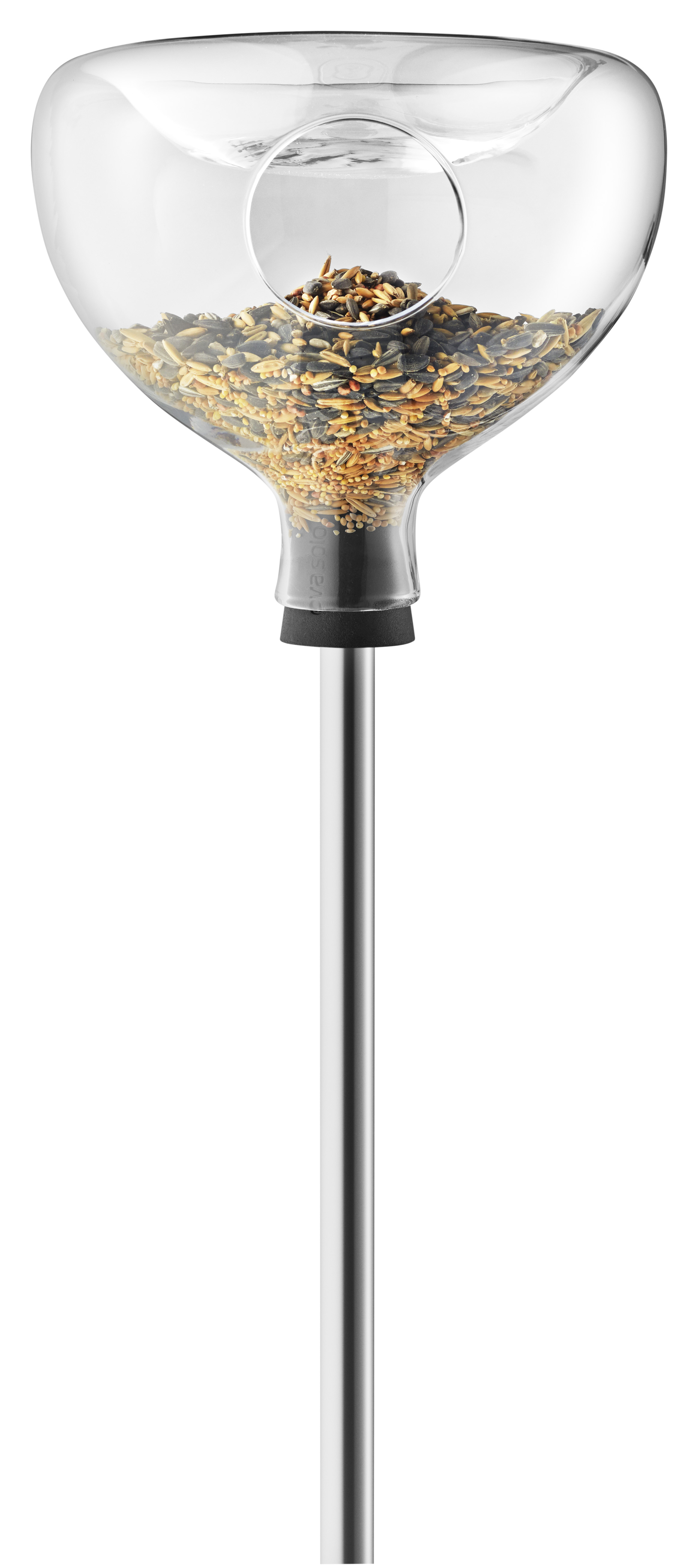 Fuglebrett i glass med bad