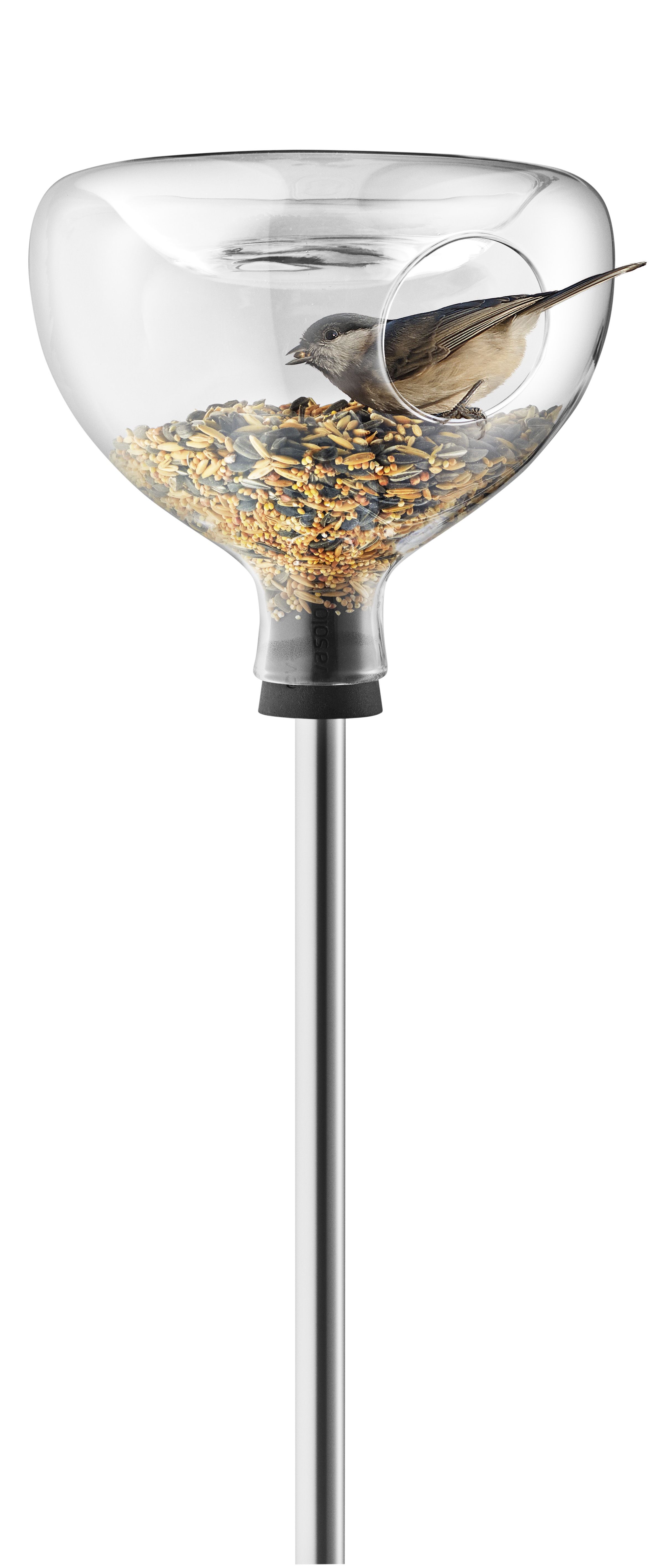 Fuglebrett i glass med bad