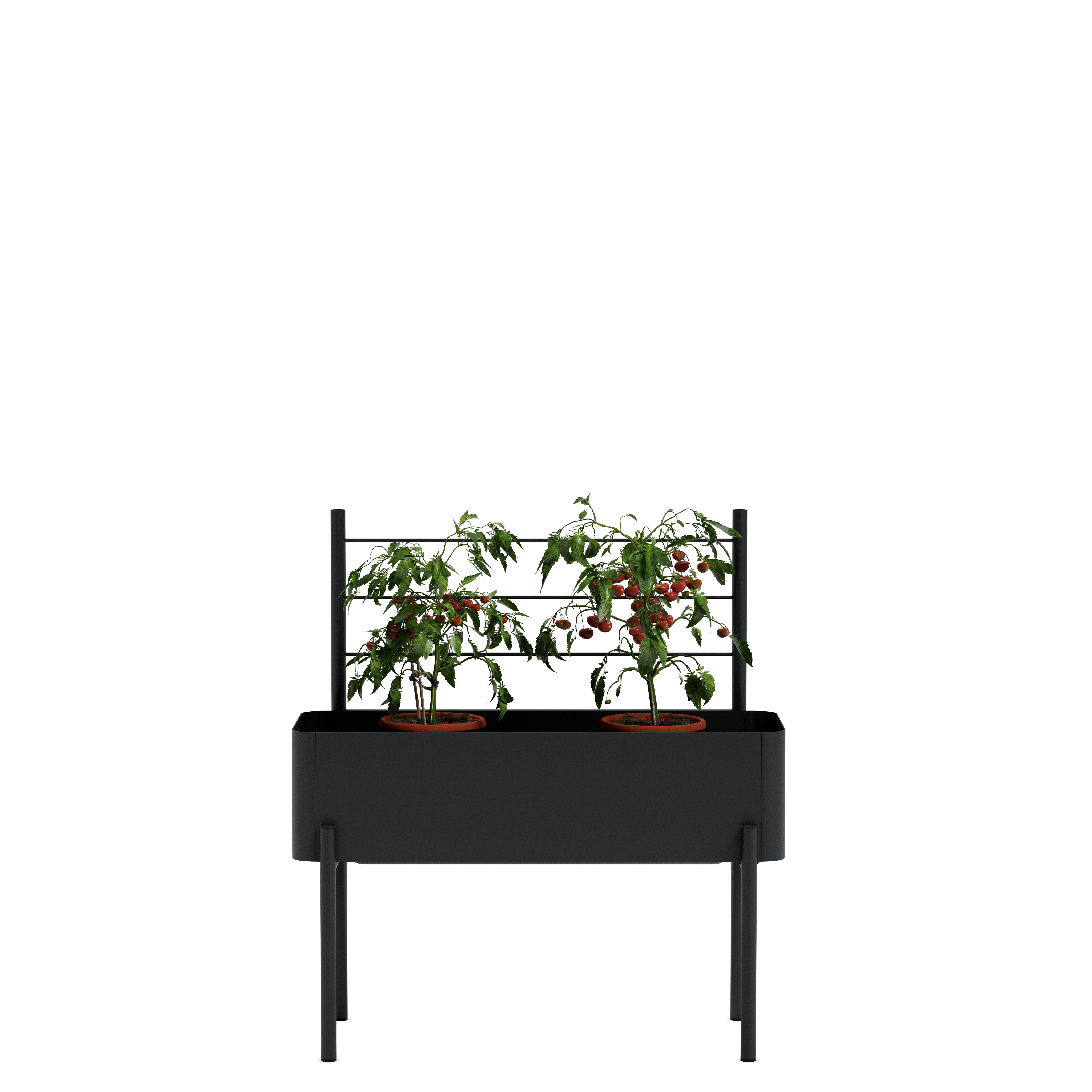 Simply Grow Spalier für Pflanzenbox