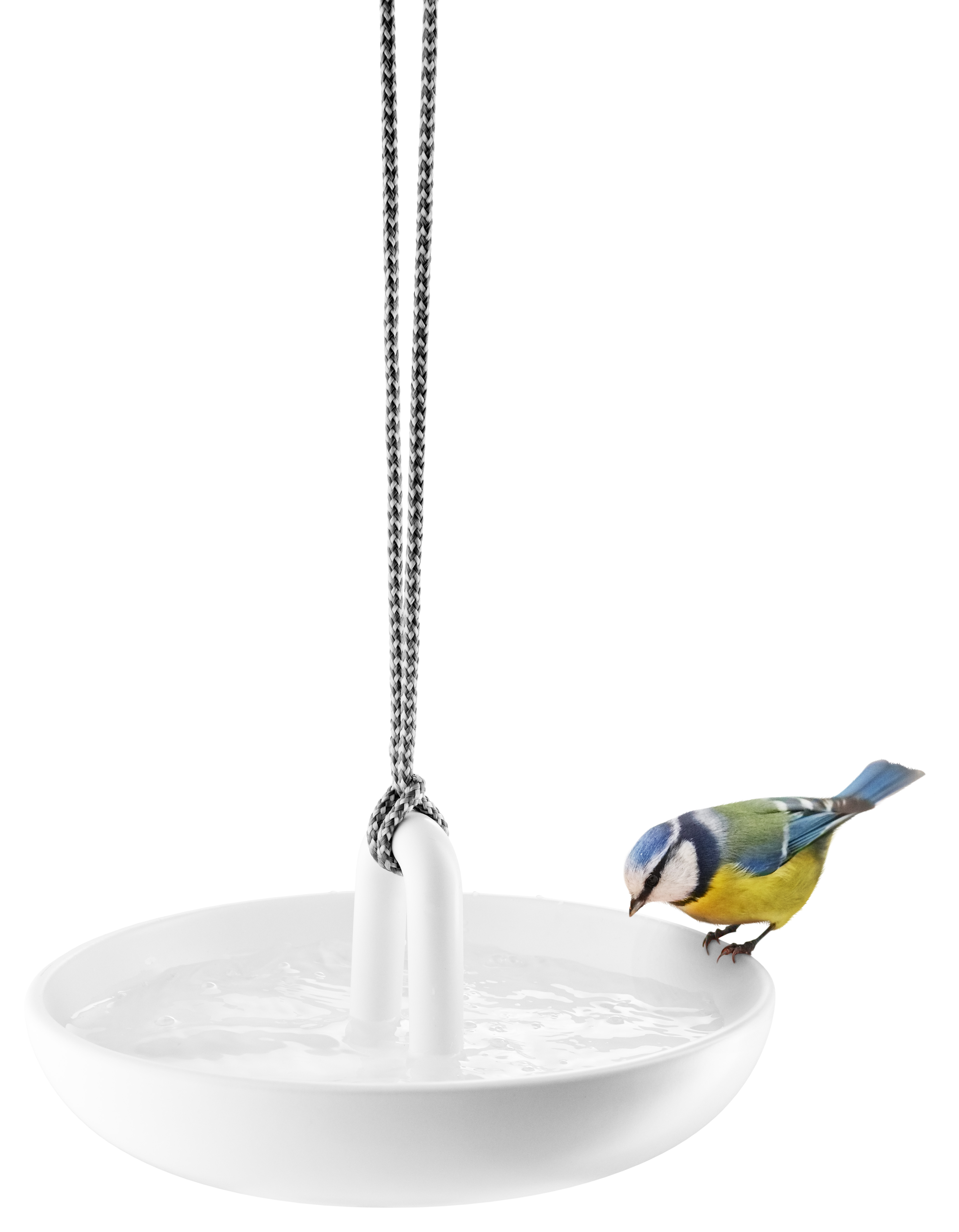 Hanging bird bath