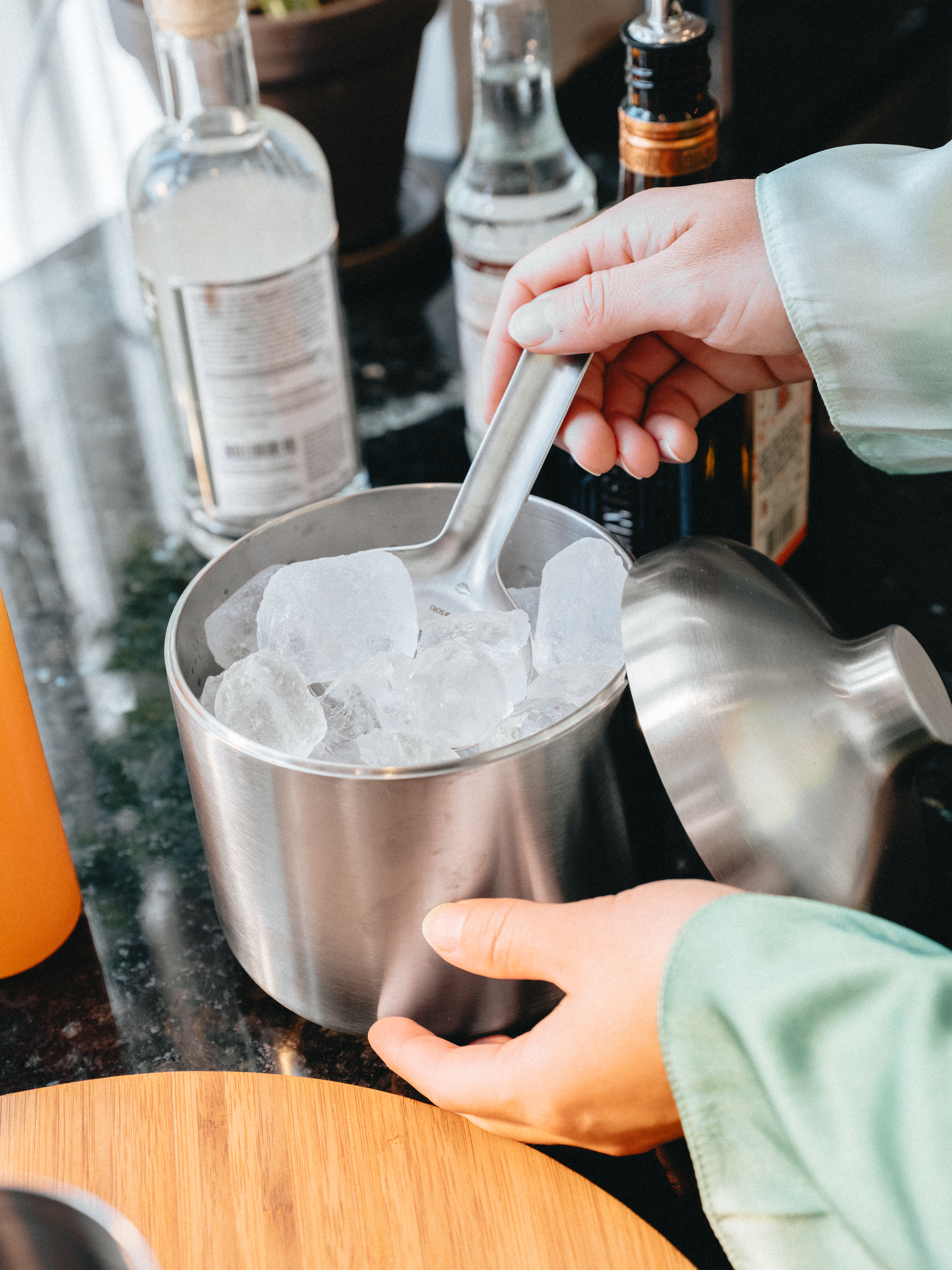 Liquid Lounge Insulated Ice Bucket with Scoop