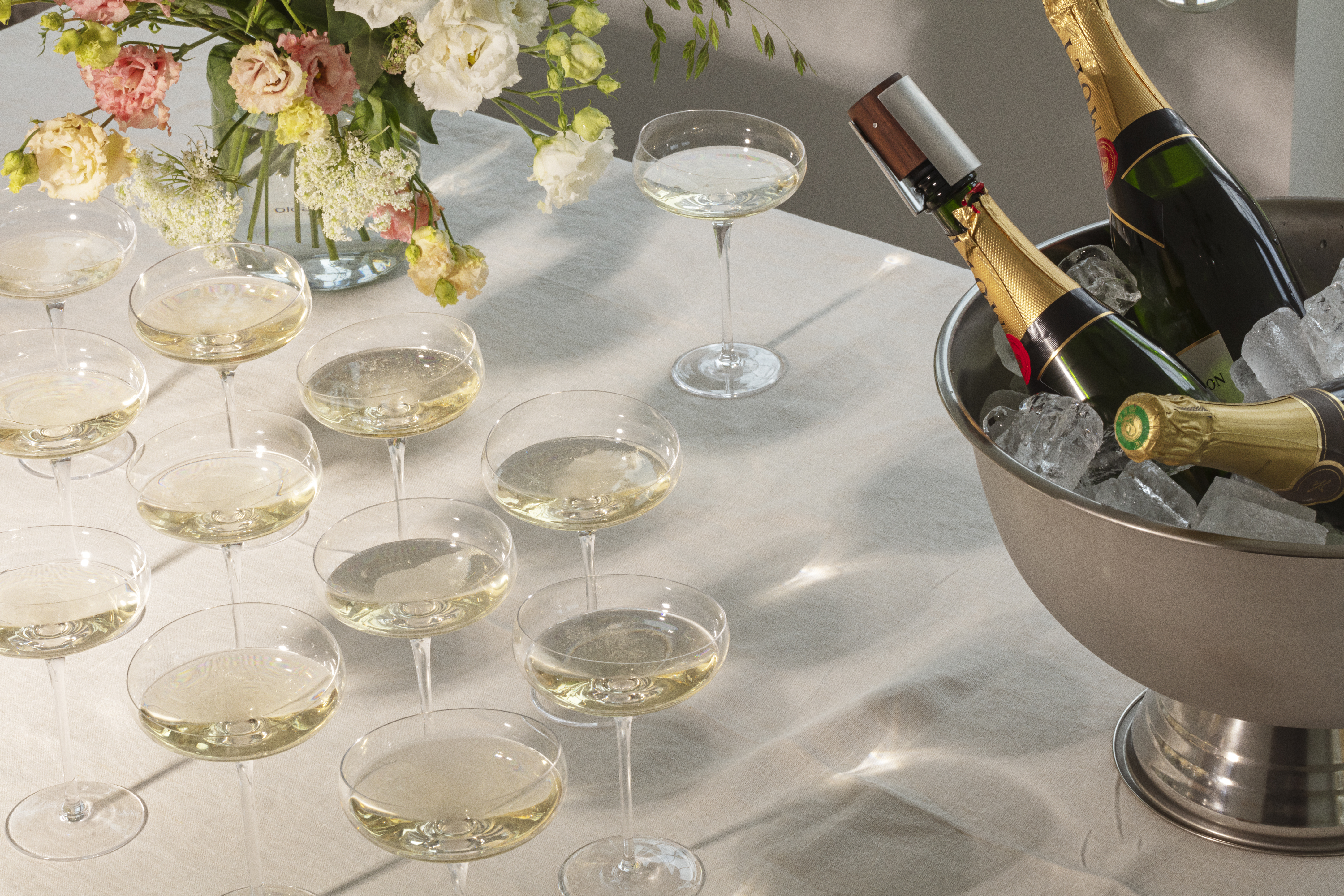 Champagne Coupe wine glass - 20 cl - 1 pcs.