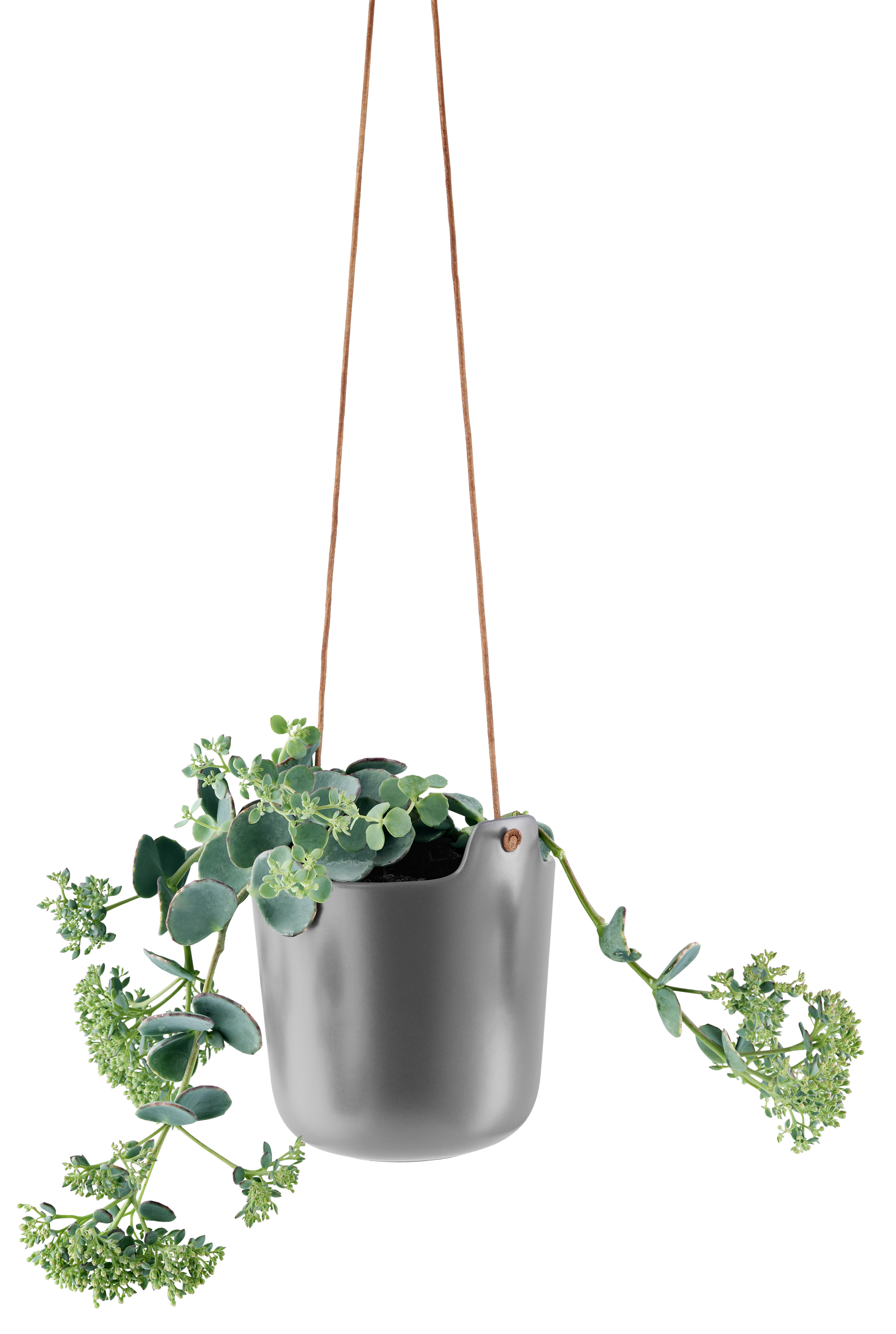 Pot de fleurs - A réserve d’eau - 15 cm