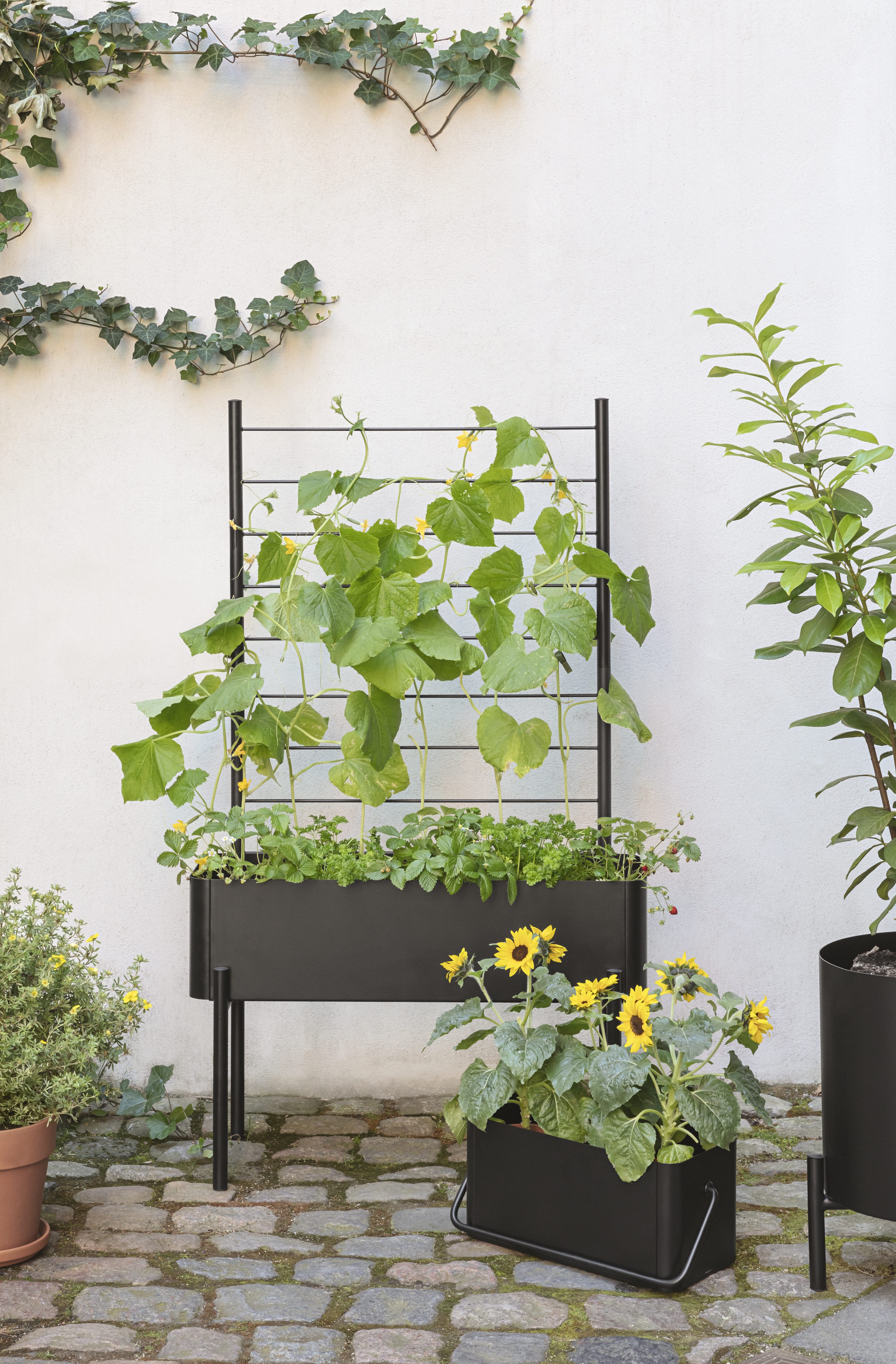 Simply Grow Balcony Planter