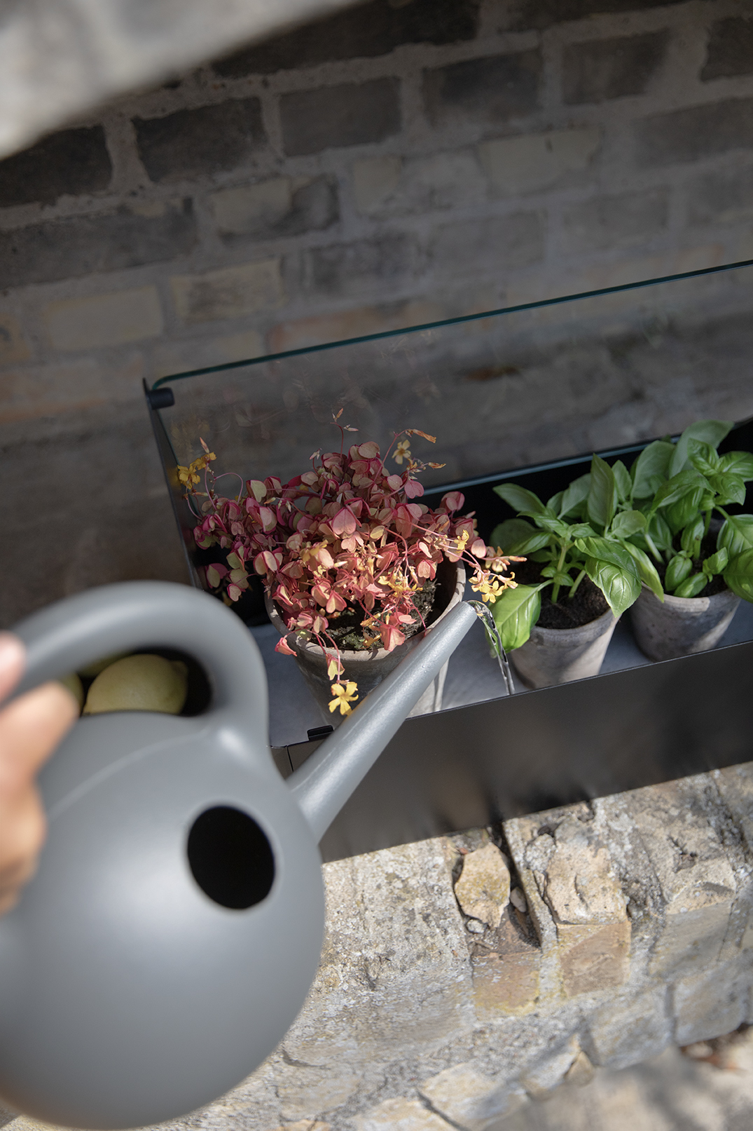 Simply Grow Mini Greenhouse