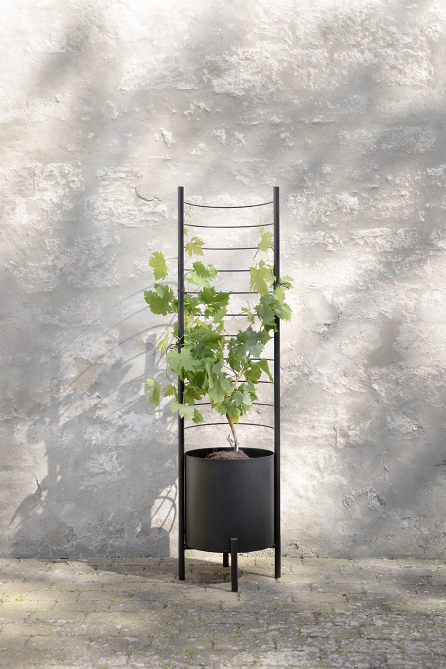 Simply Grow Spalier für Übertopf