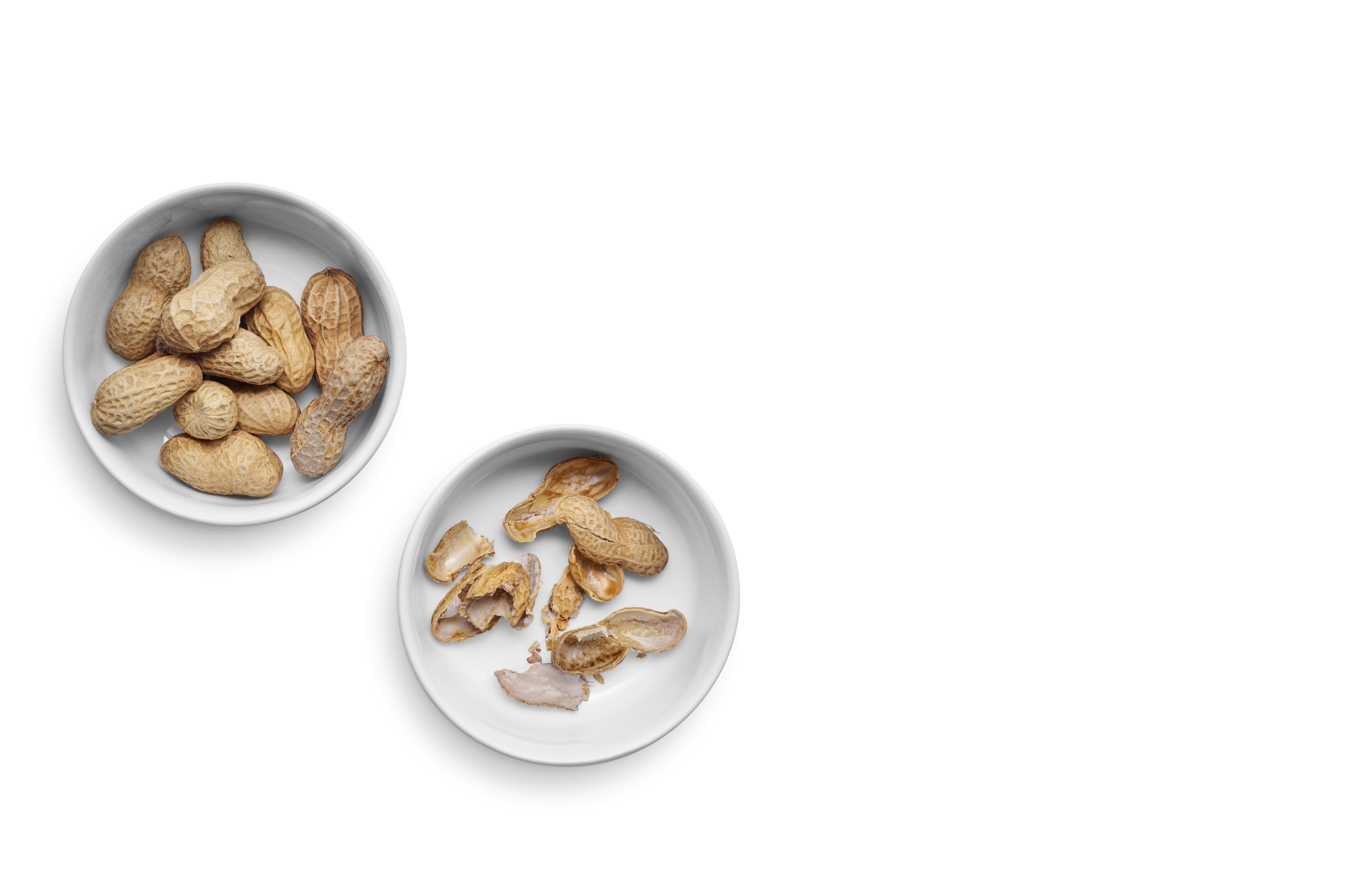 Legio Nova skålesæt - 2 stk.