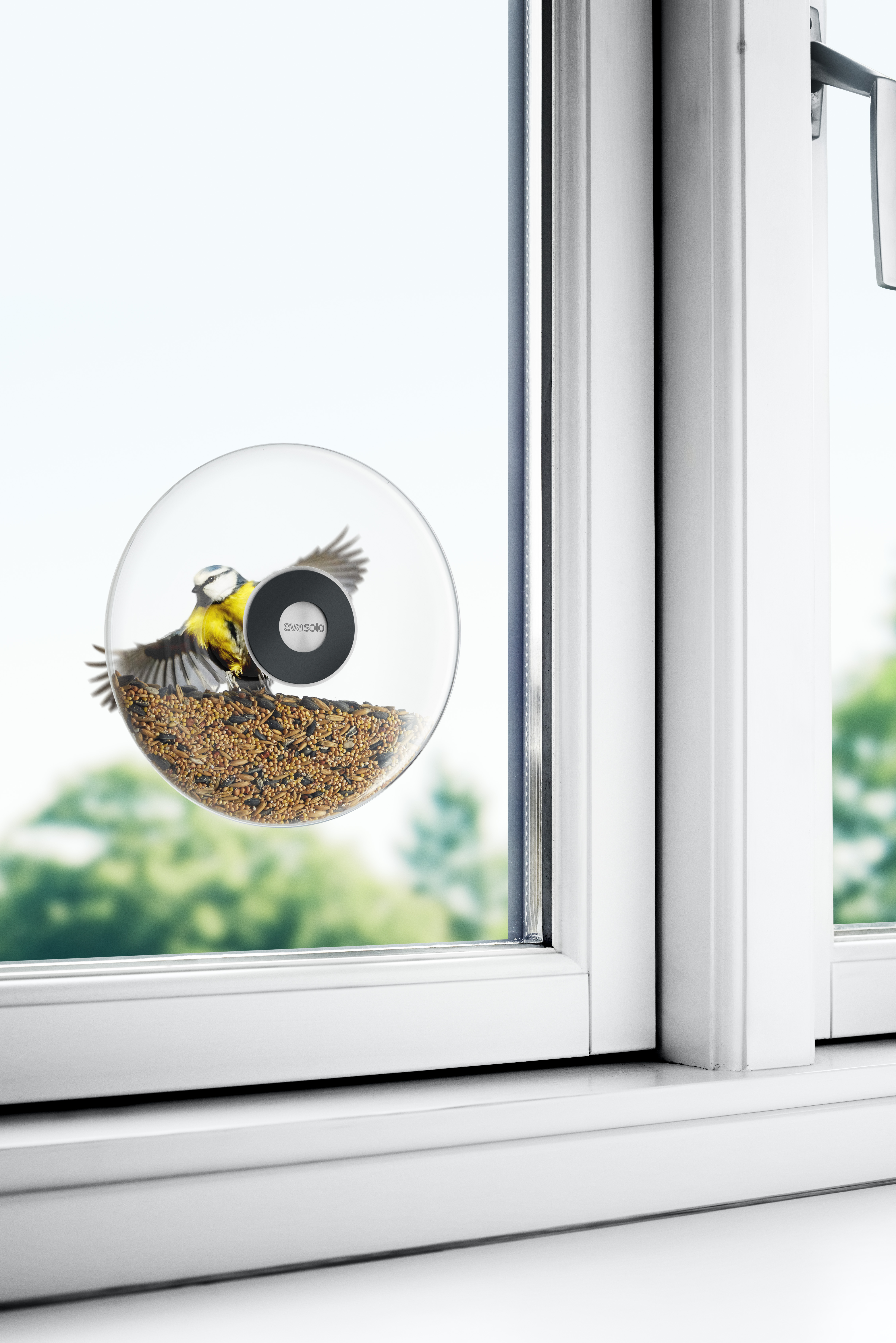 Window bird feeder - Large