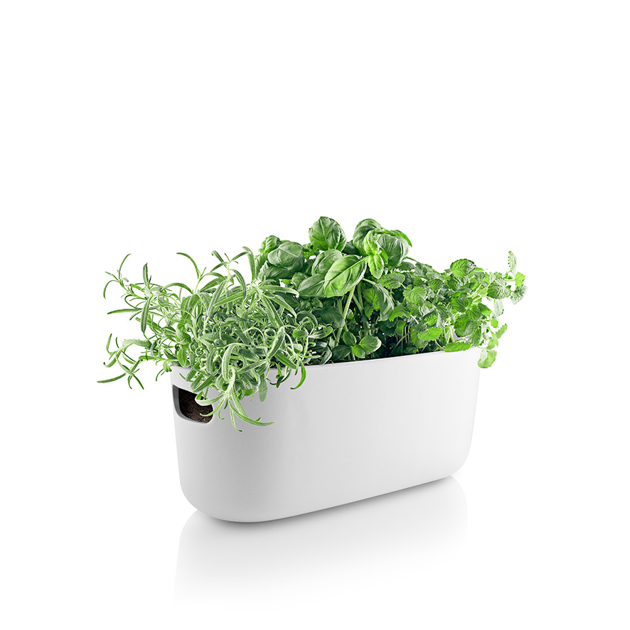 Herb organiser - Selvvandende - Hvid