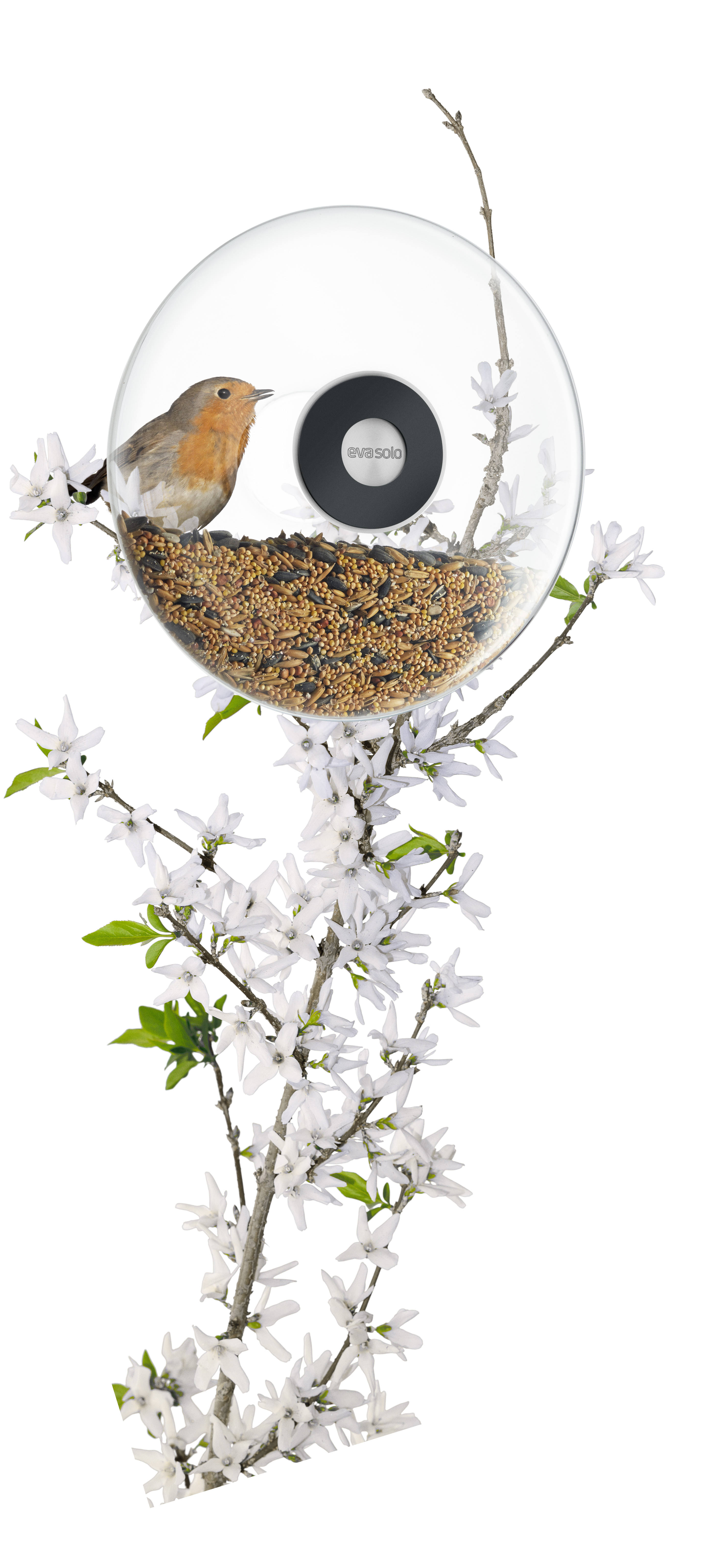 Window bird feeder - Large
