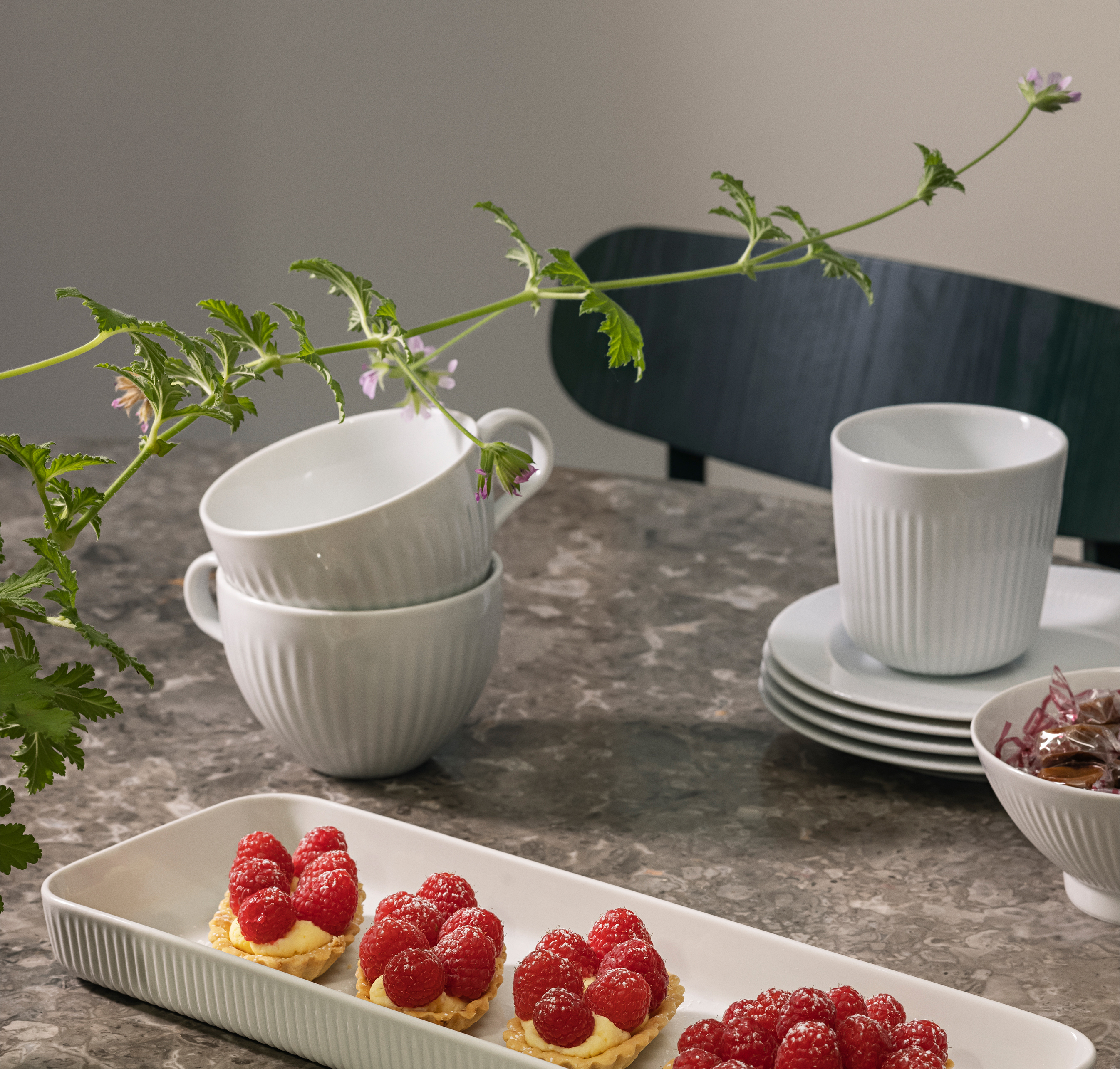 Legio Nova Cup - 35 cl