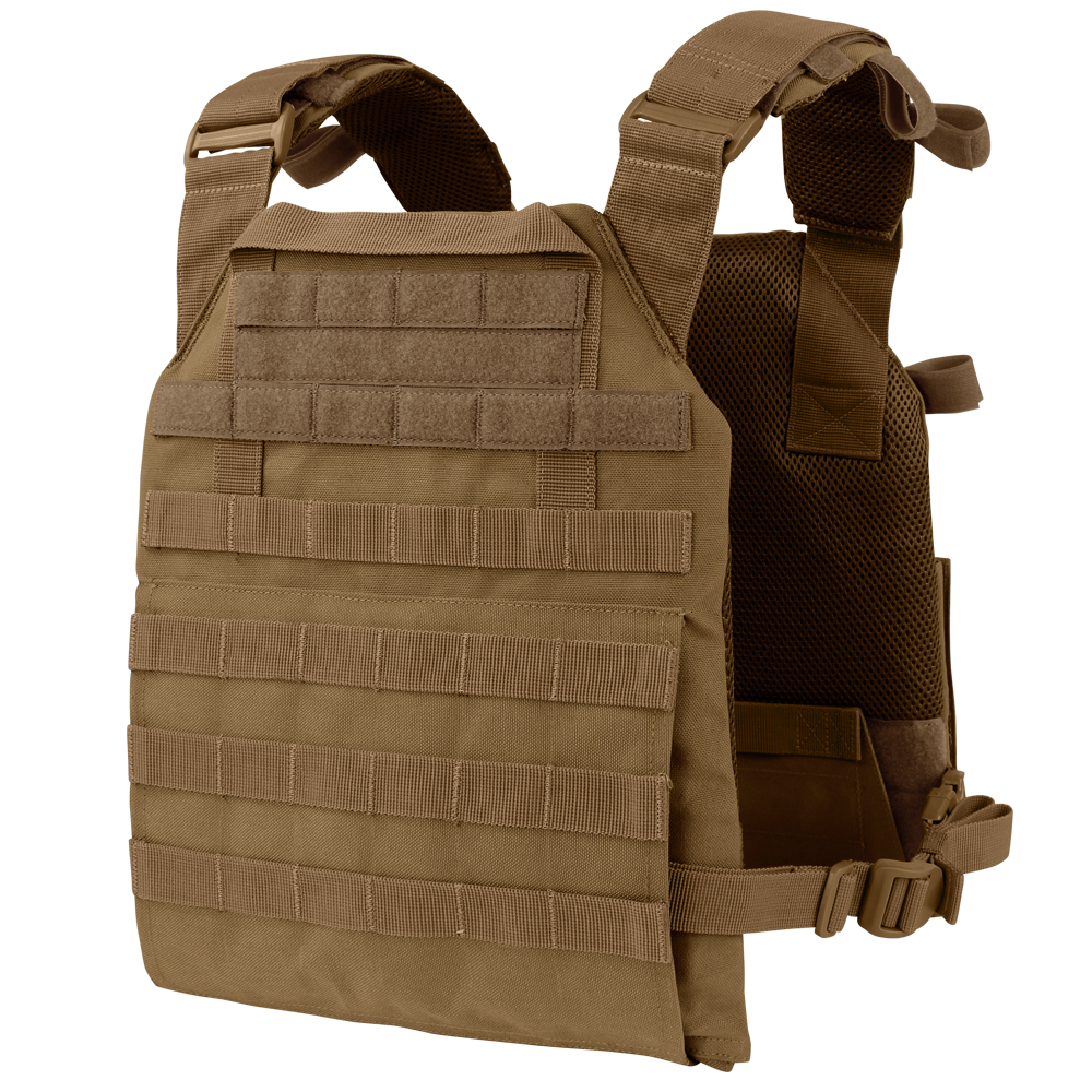 image of the back of the plate carrier bare