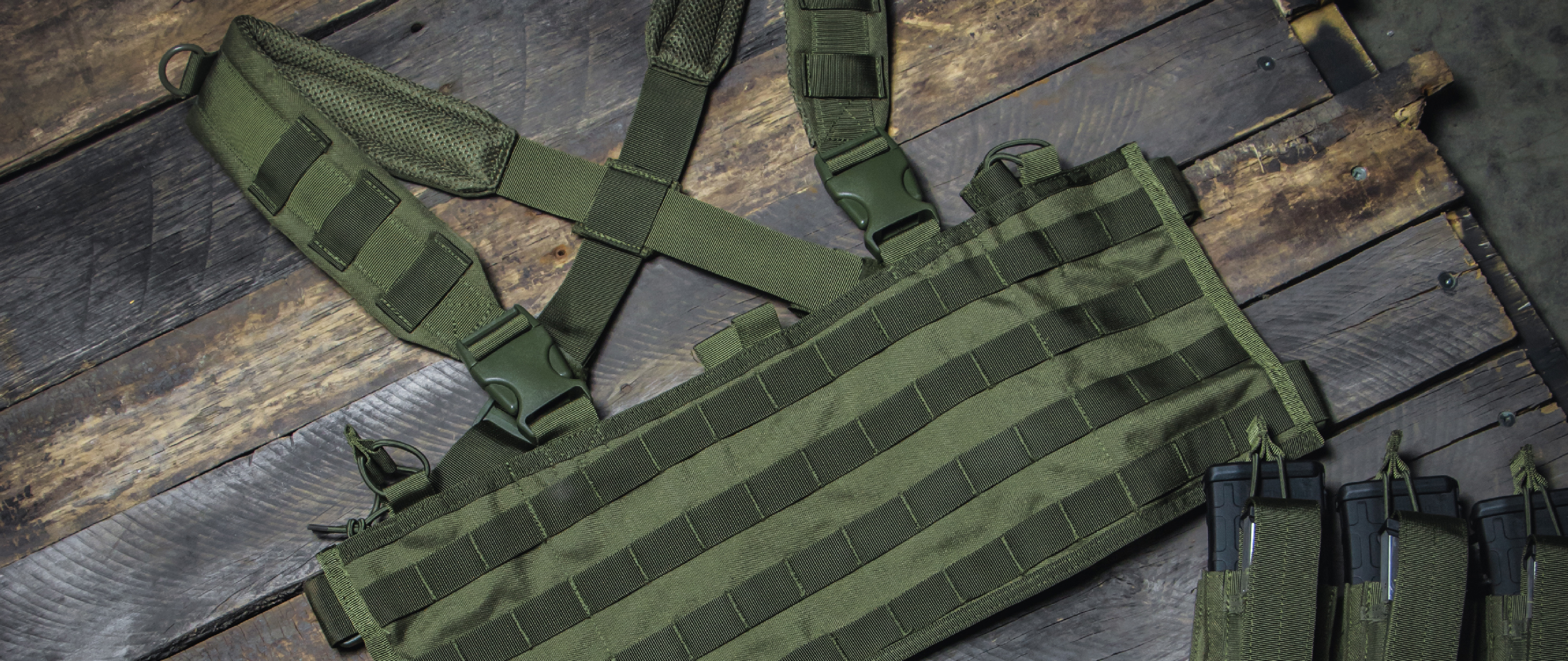 Image of the chest rig plain without pouches