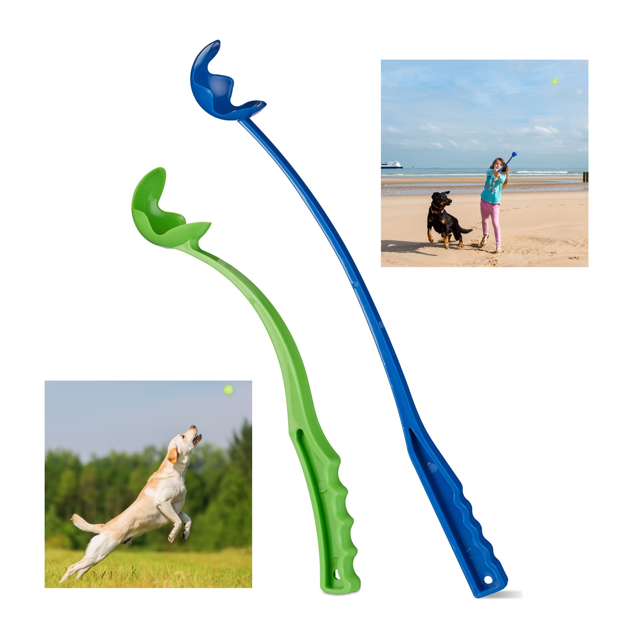 Ballschleuder für Hunde 2er-Set Blau-Grün