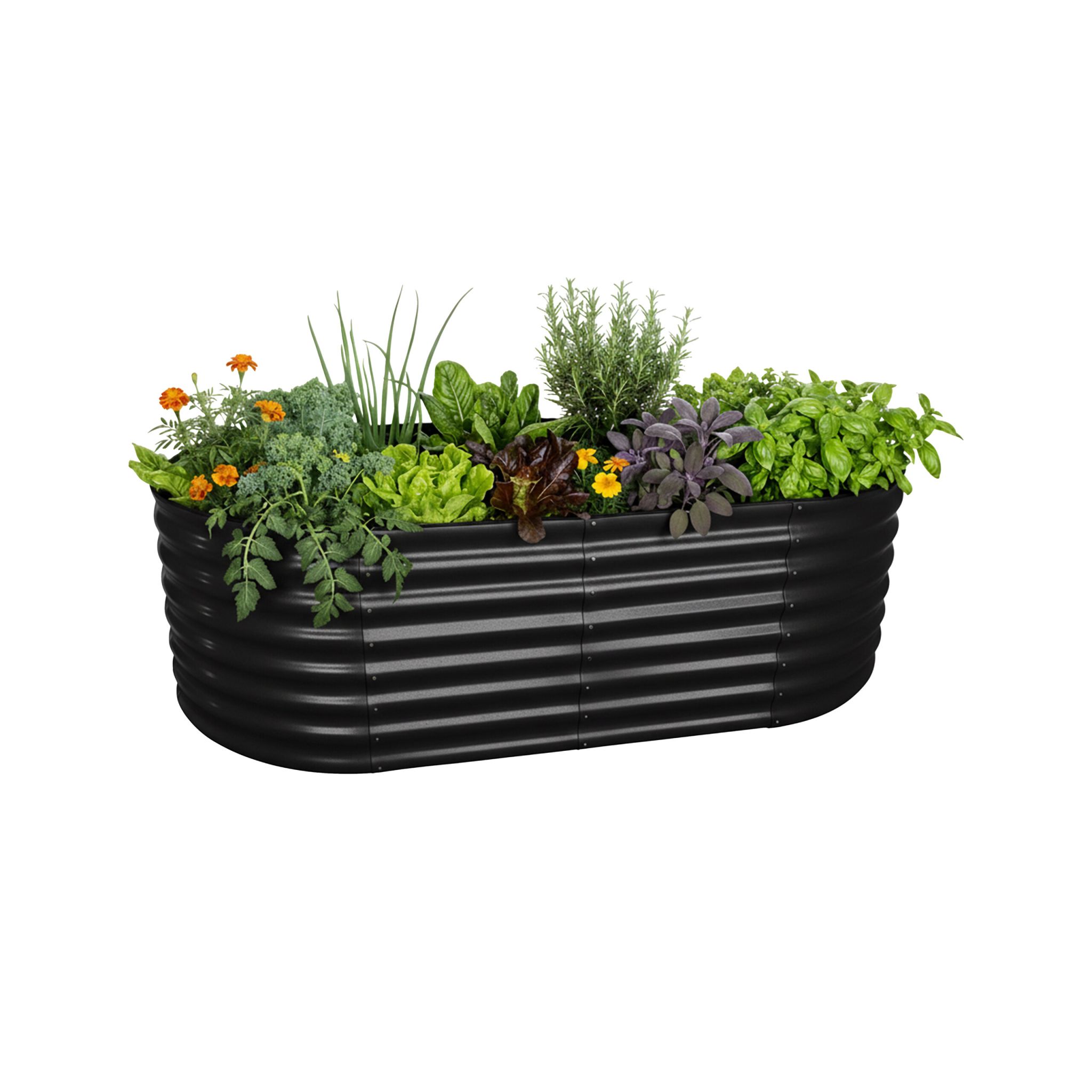 Hochbeet Metall halbrund Schwarz