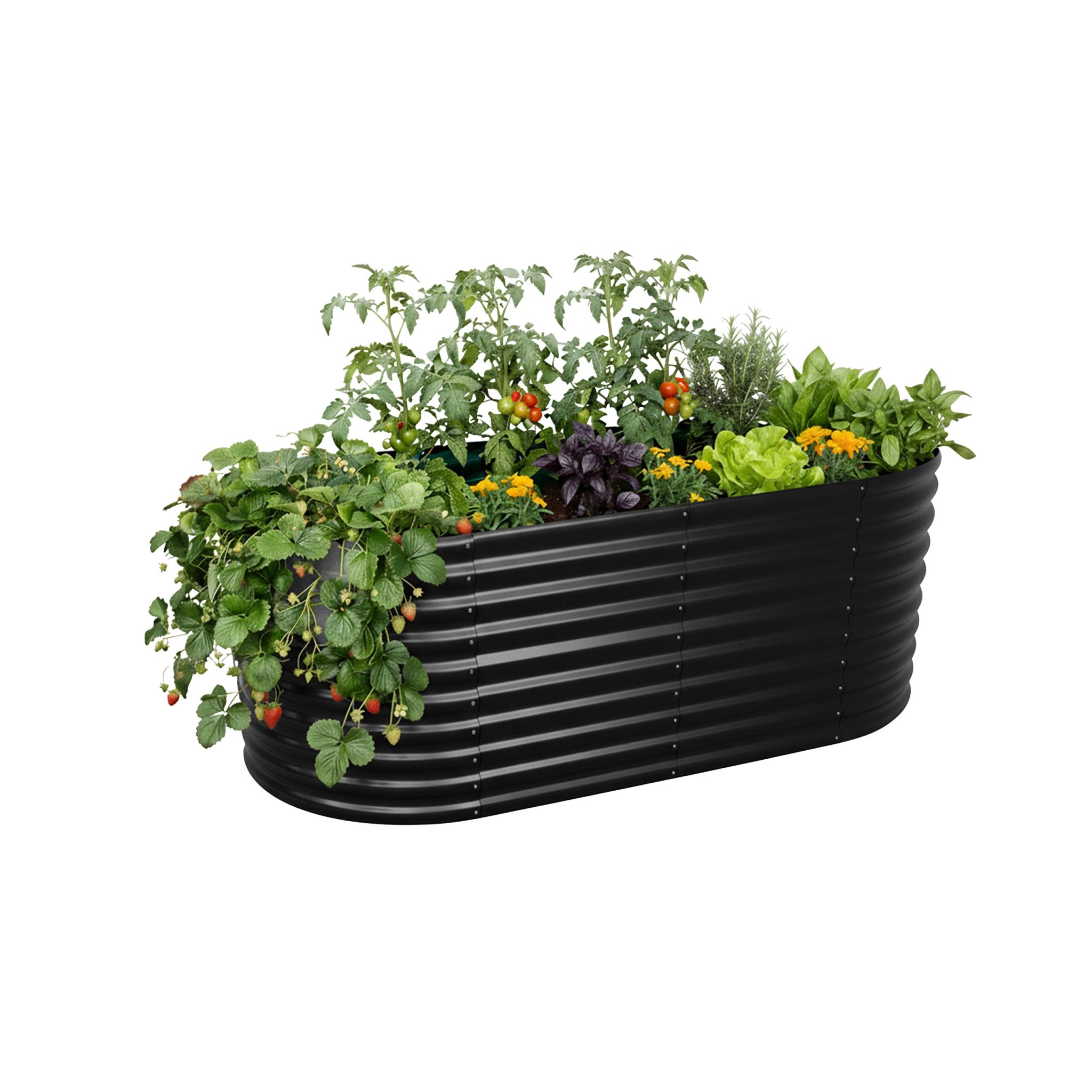 Hochbeet Metall halbrund Schwarz