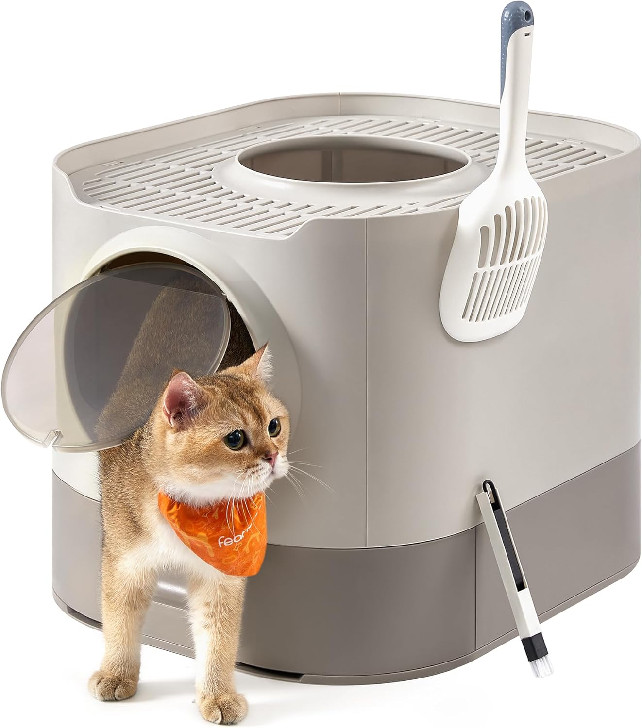 Katzentoilette XXL mit Deckel Haferflocken Kunststoff