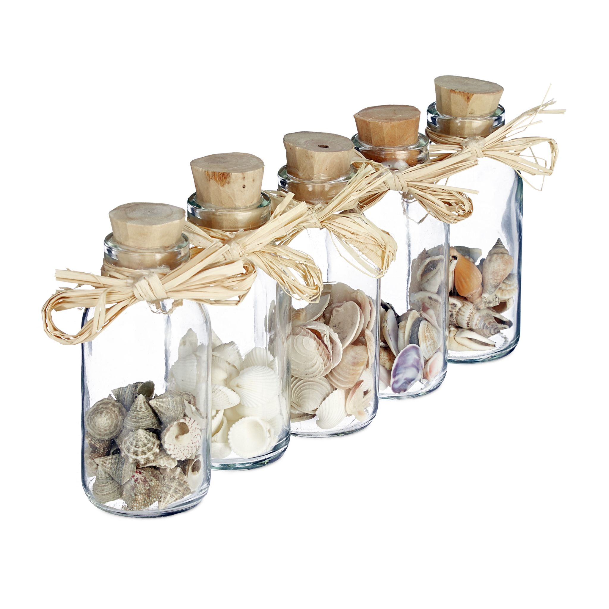 Muschel Deko in Fläschchen Beige-Creme-Transparent