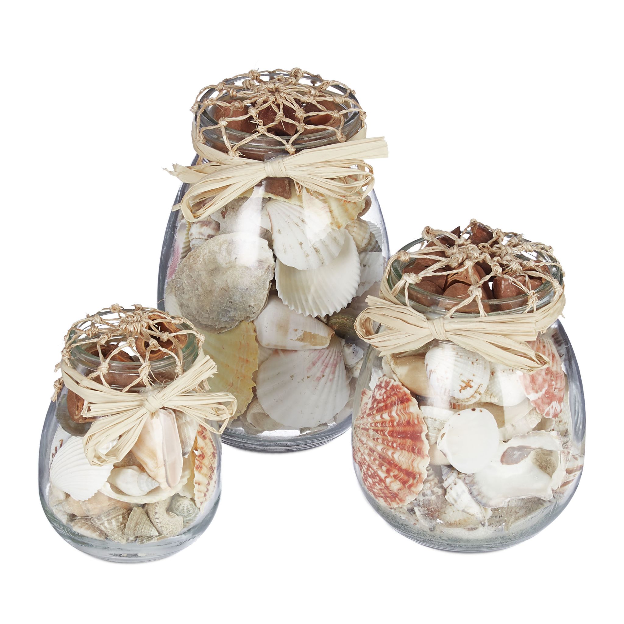 Muschel Deko 3er-Set Creme-Transparent
