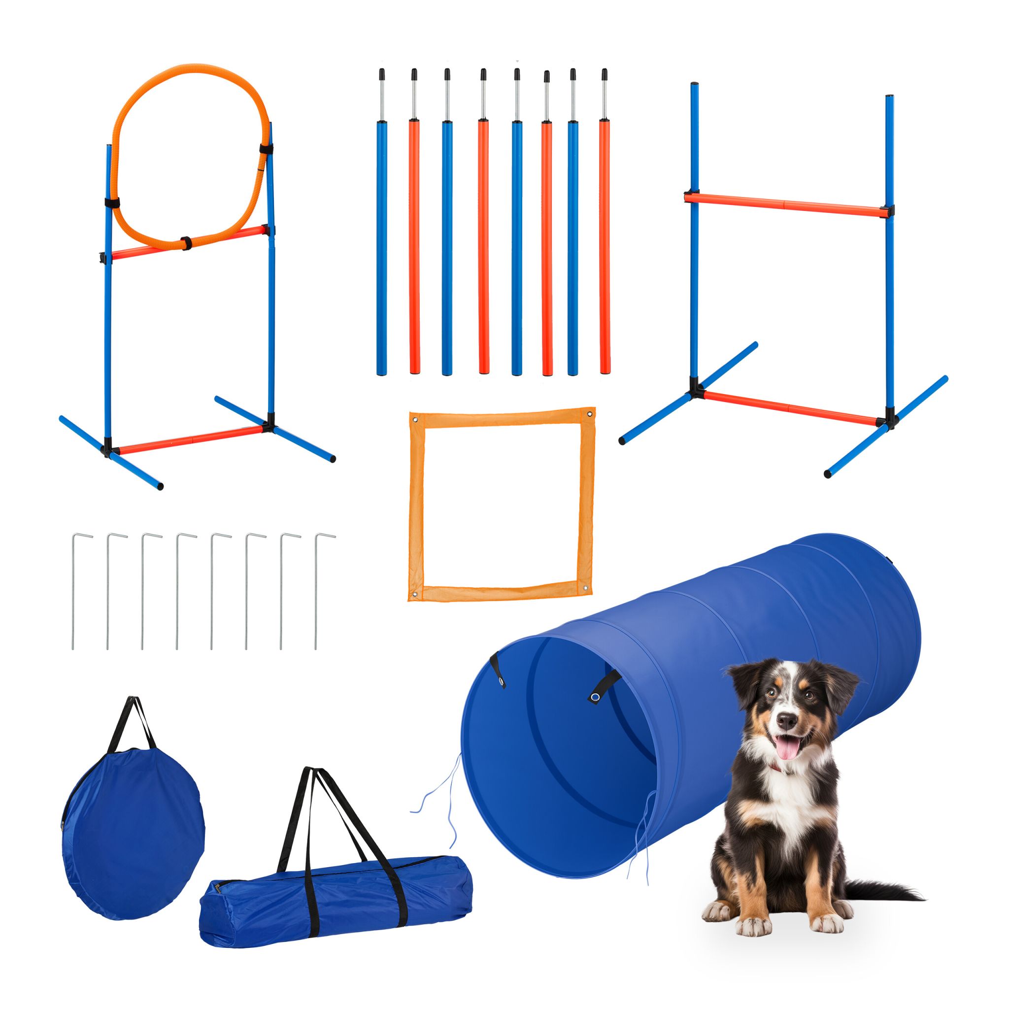 Agility Set für Hunde Blau-Orange