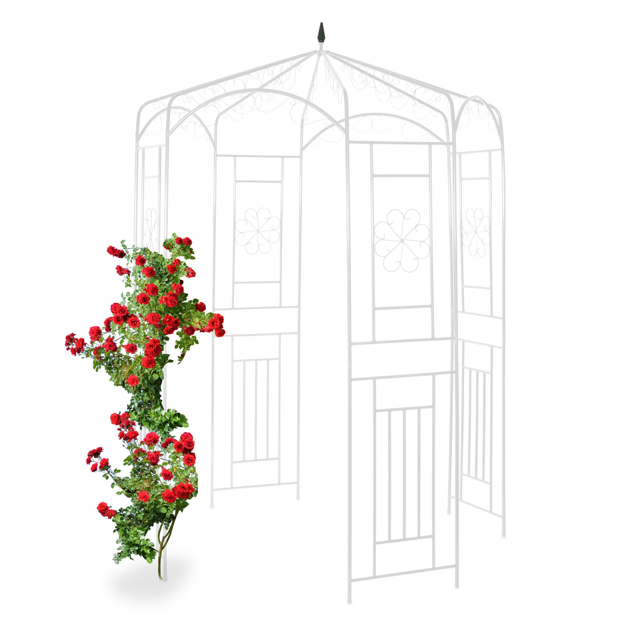 Rosenpavillon Metall Weiss