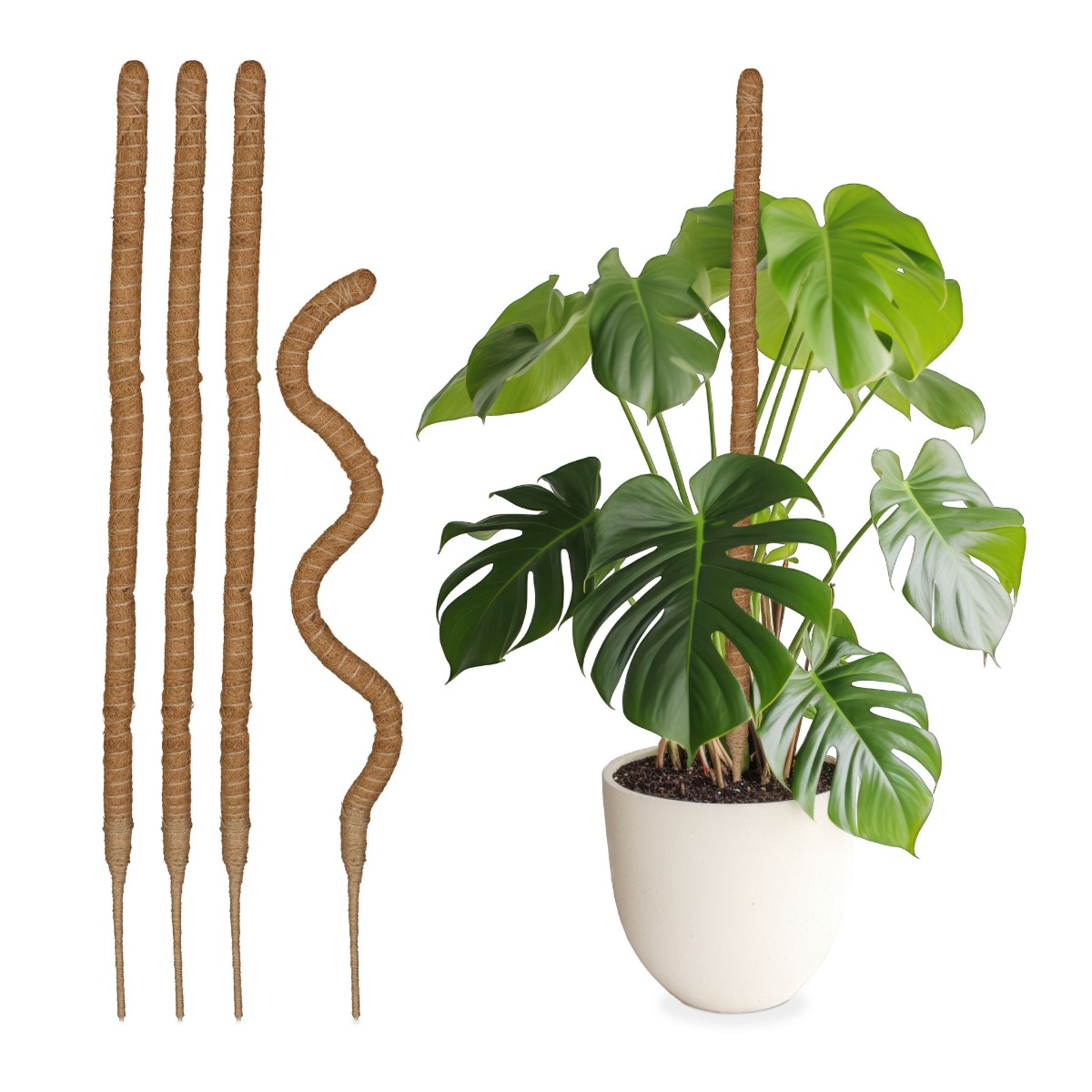 Rankhilfe 5er Set Kokosstäbe 90 cm