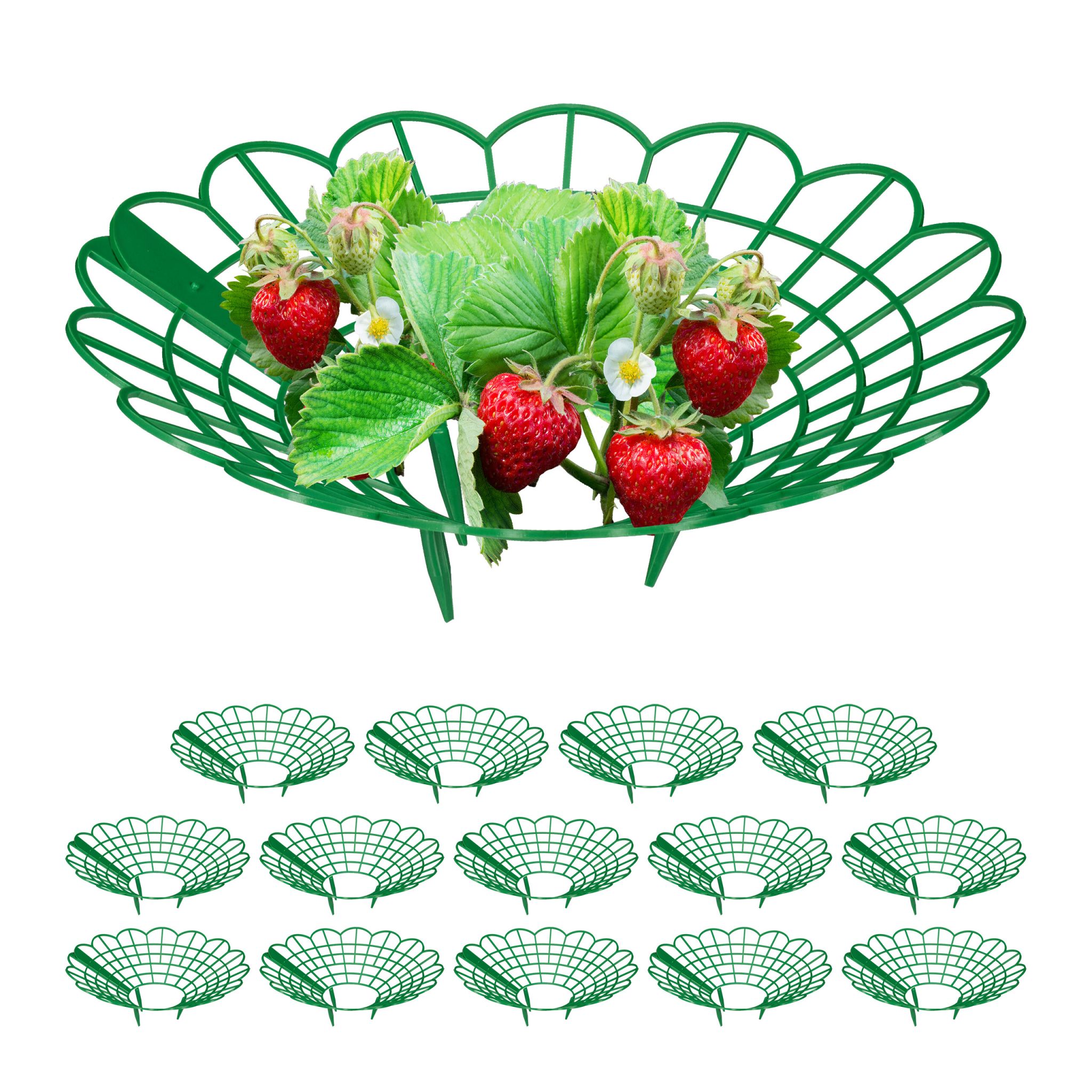 Erdbeerreifer Set Grün