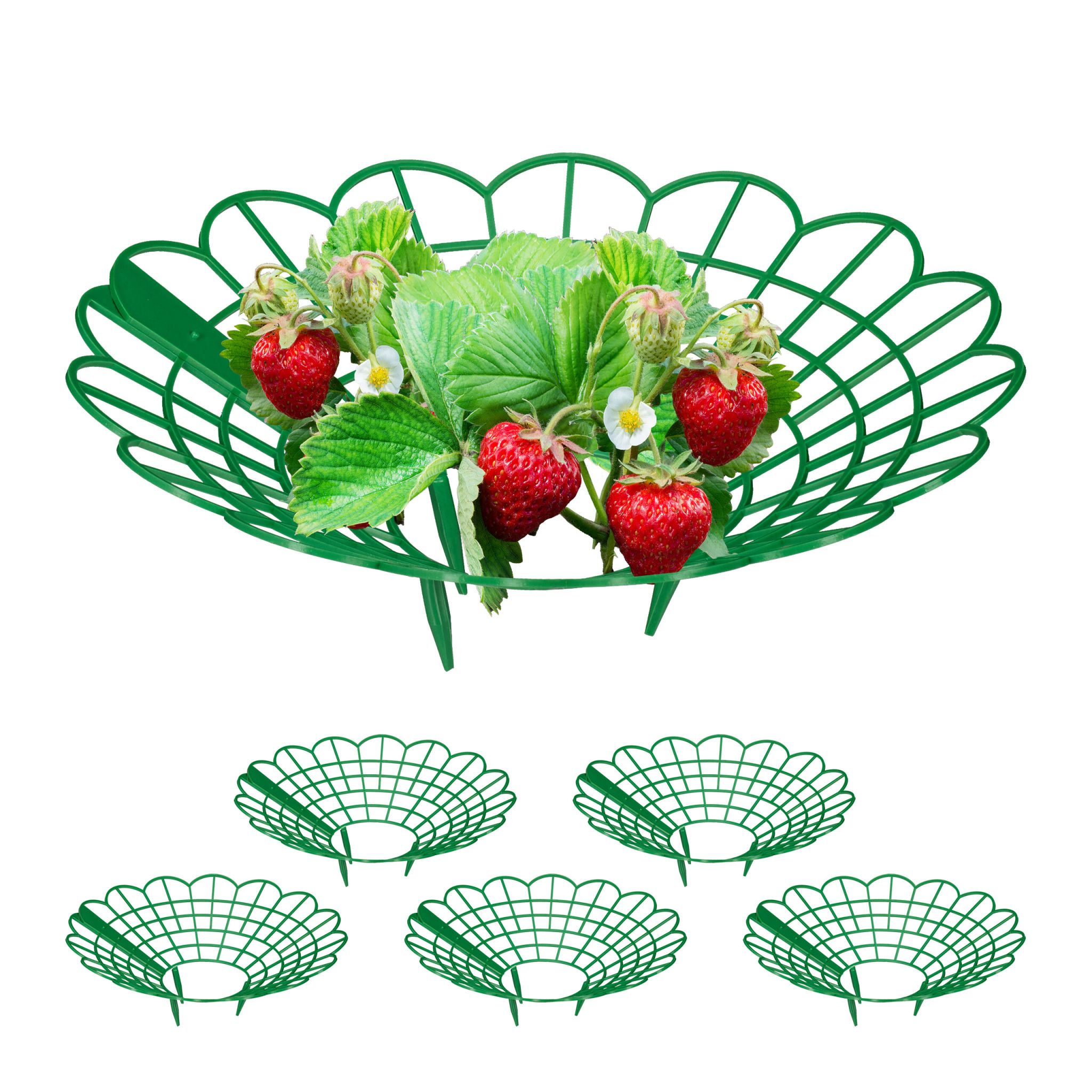Erdbeerreifer Set Grün