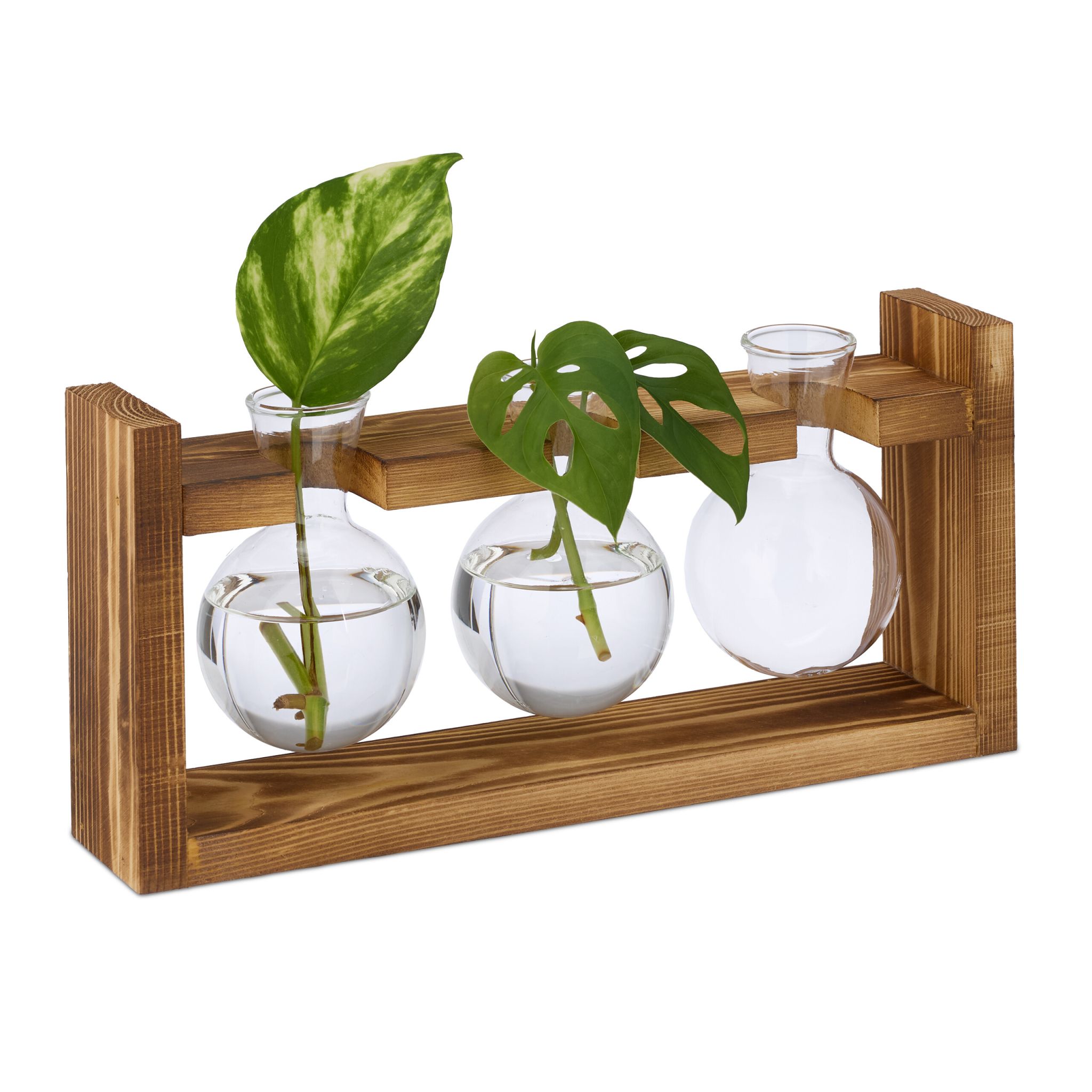 Reagenzglas Vase mit Ständer Braun-Transparent