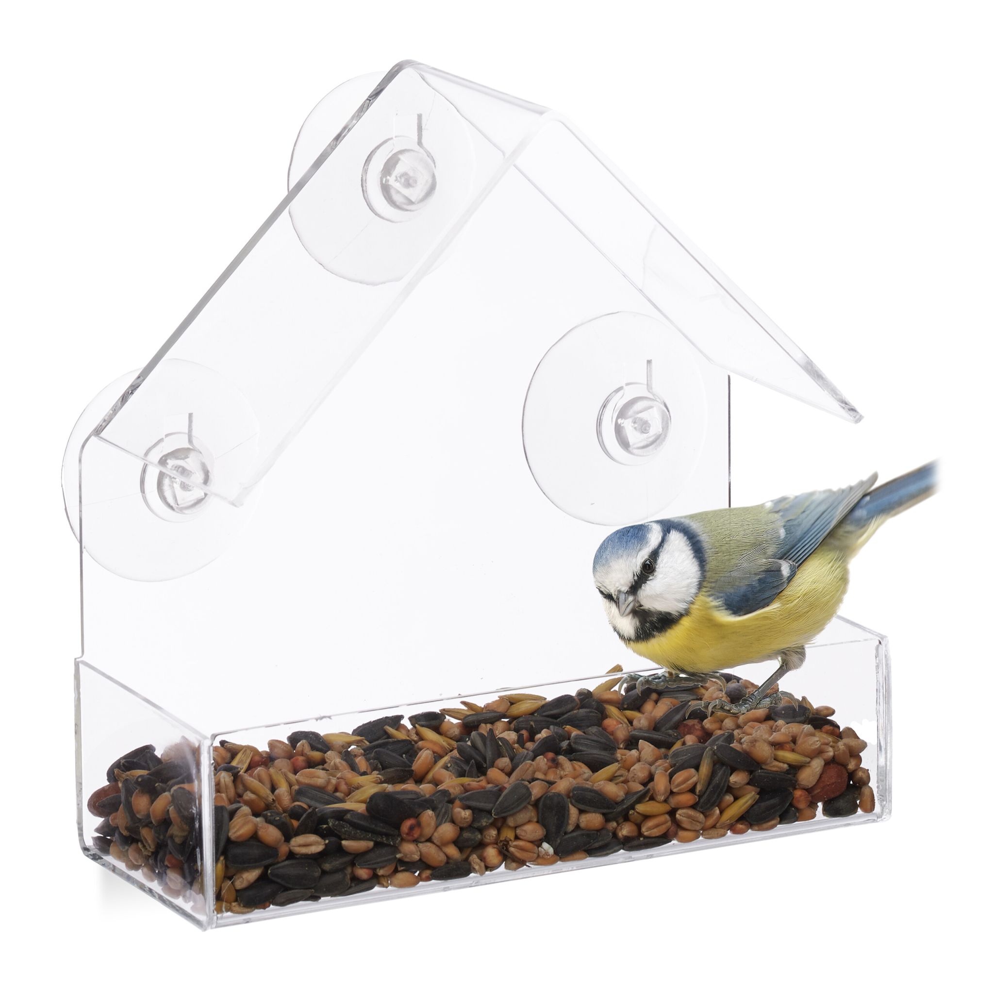 Fenster-Vogelfutterhaus Transparent