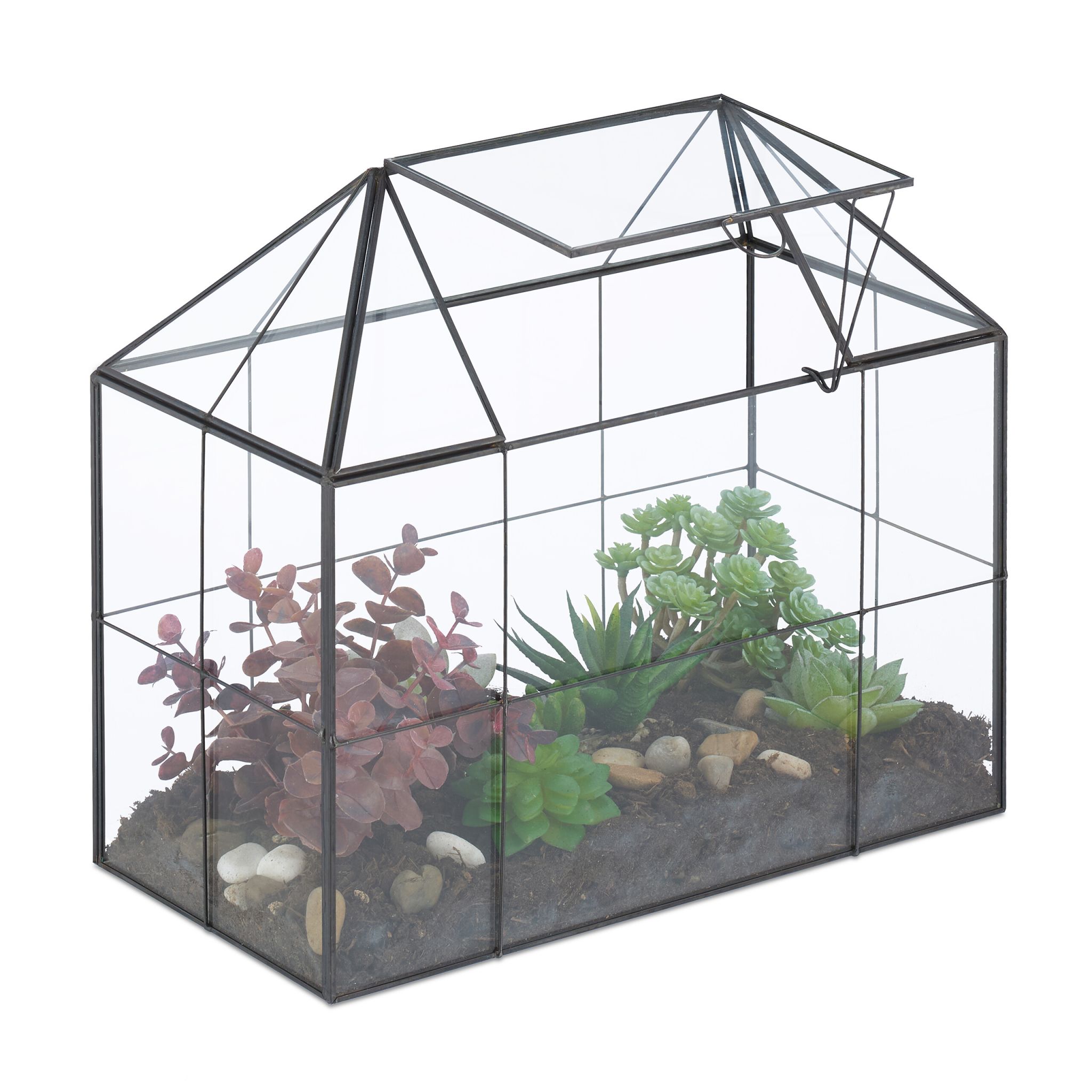 Grosses Pflanzenterrarium Glas Hausform Schwarz-Transparent