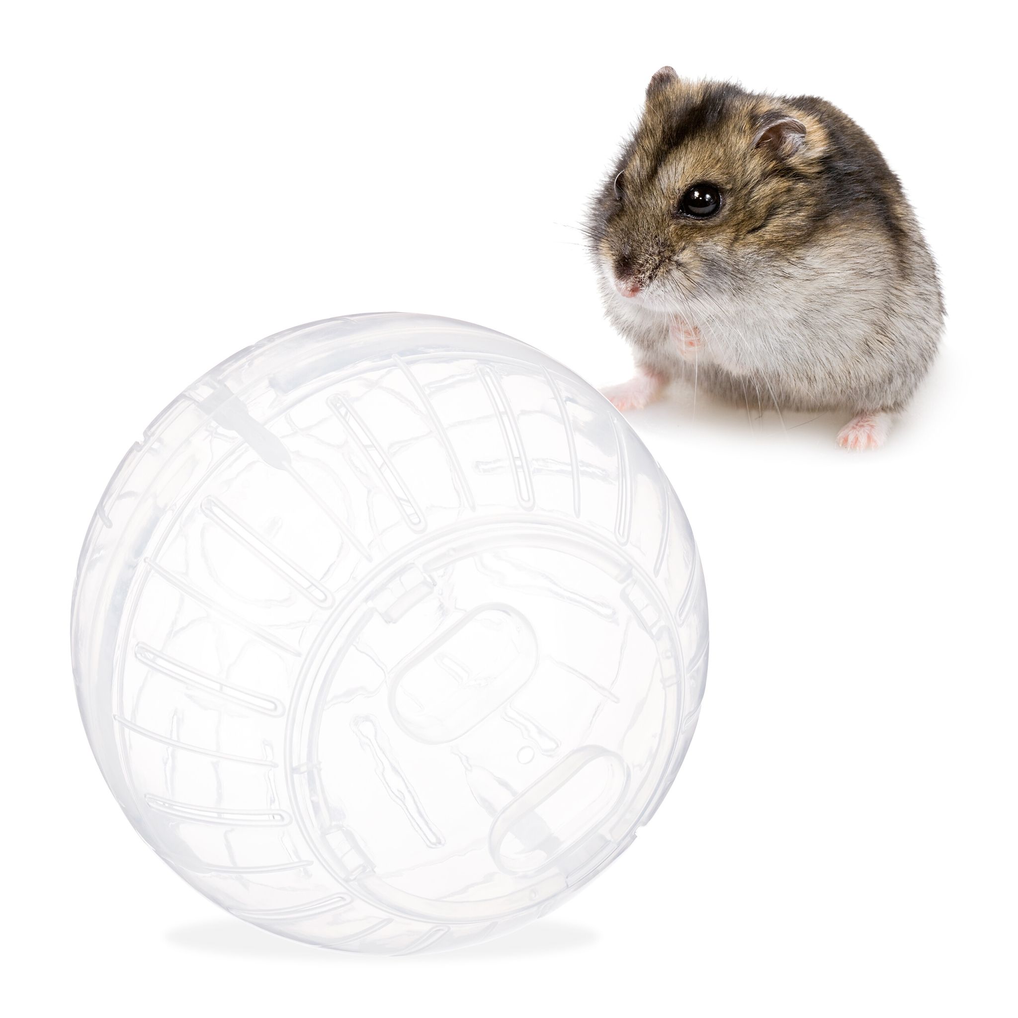Hamsterball transparent Transparent