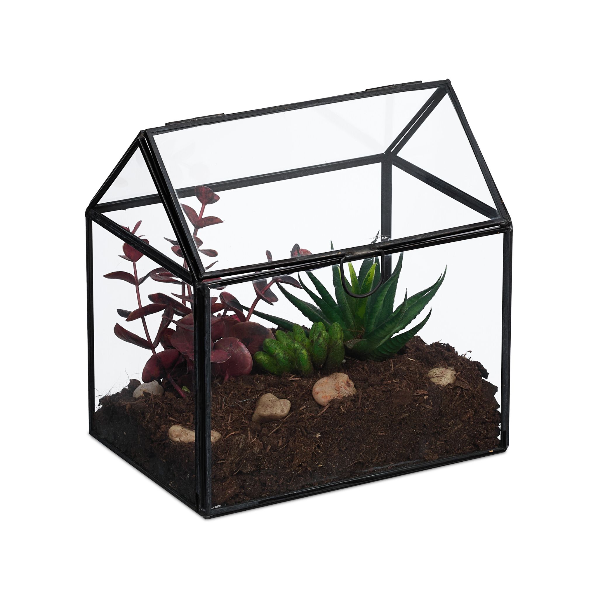 Pflanzenterrarium Glas Hausform Schwarz-Transparent